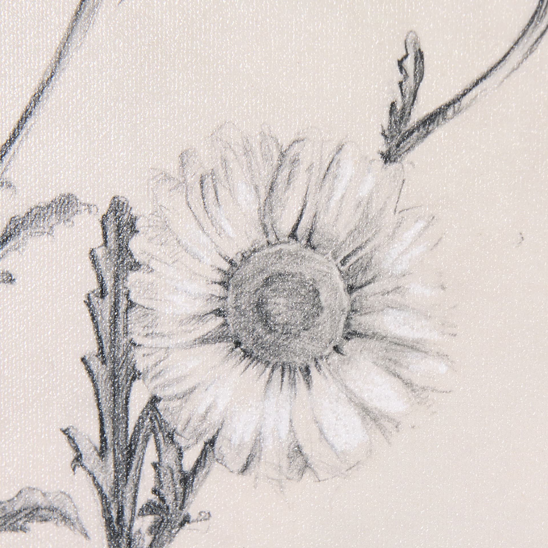 Chamomile Drawing I by Mercana Studio a Hand Embellished Textured Framed Art Print — product photograph