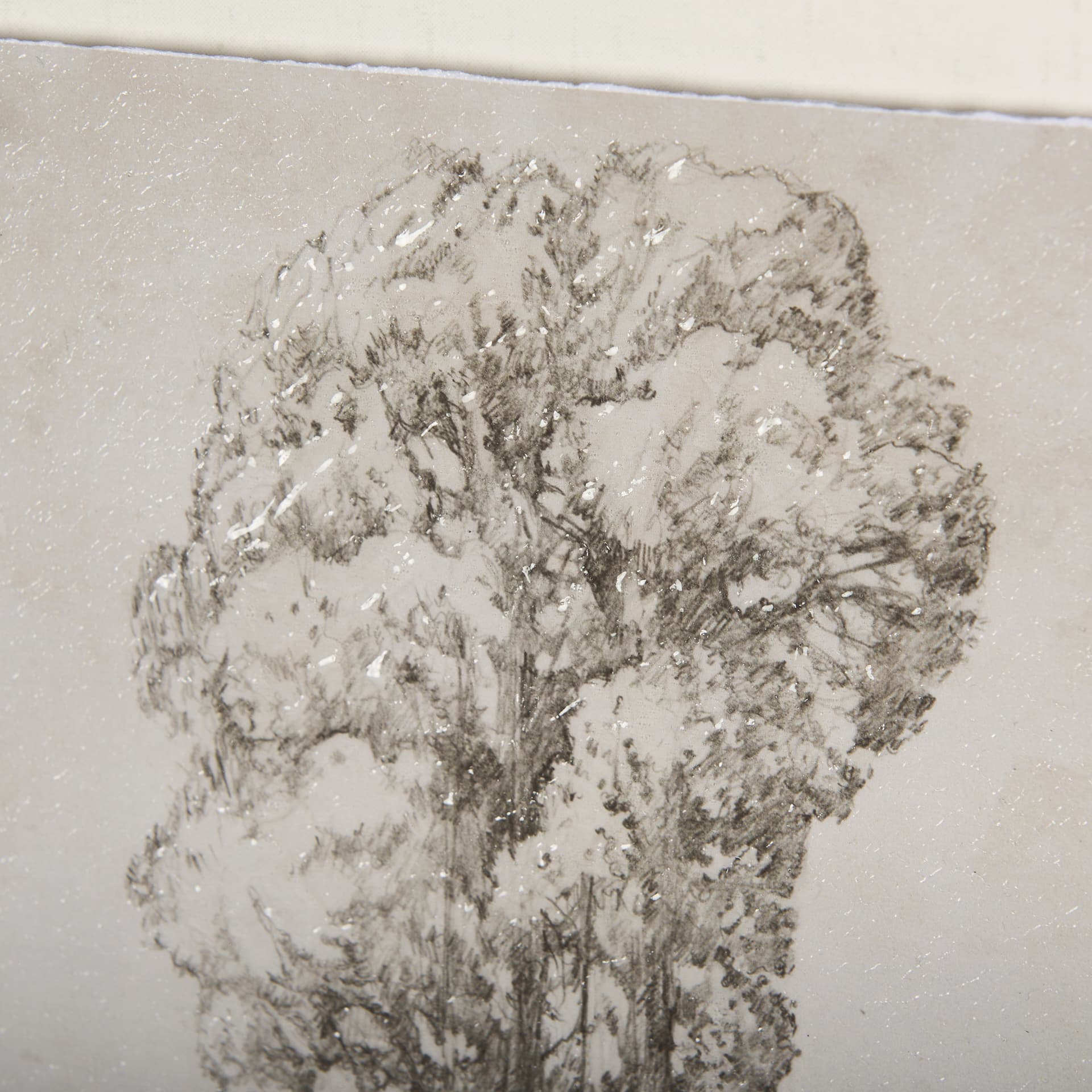 Westcoast Tree Drawing I by Mercana Studio Hand Embellished Framed Art Print Matted under Glass — product photograph