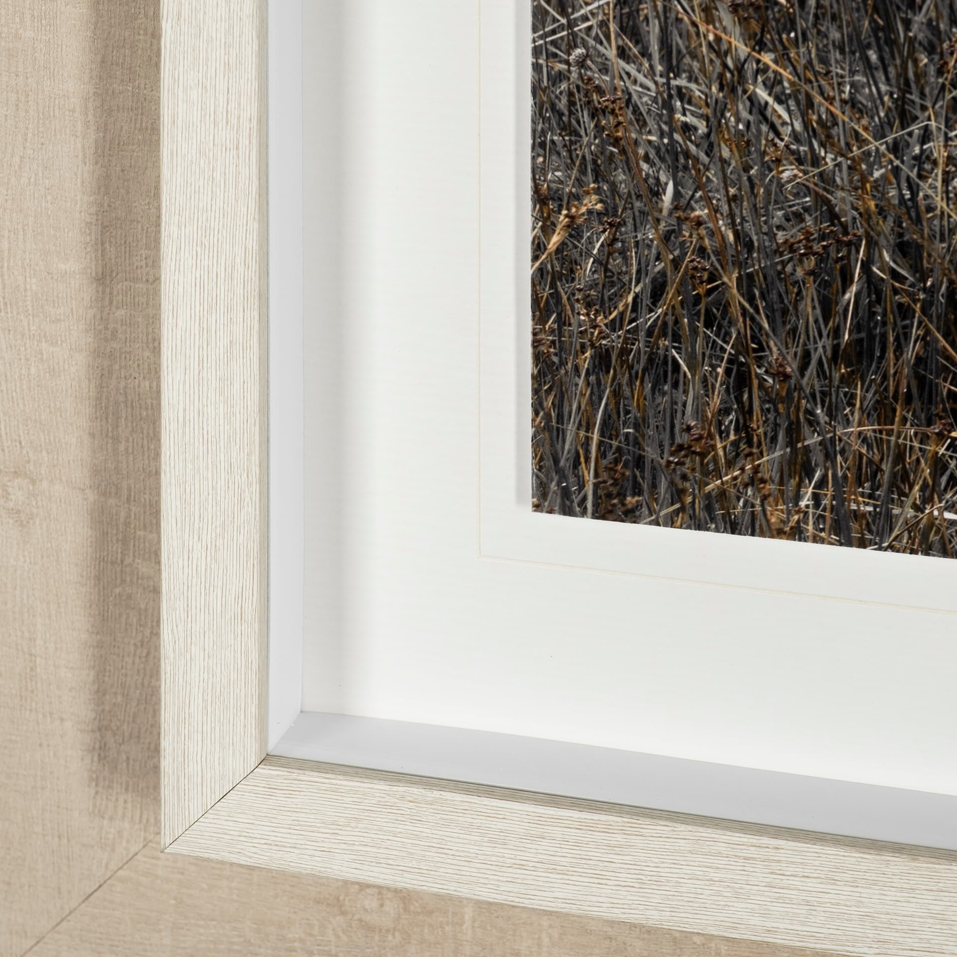 Bernie by Assaf Frank a Framed Photo Art Print Matted under Glass — product photograph