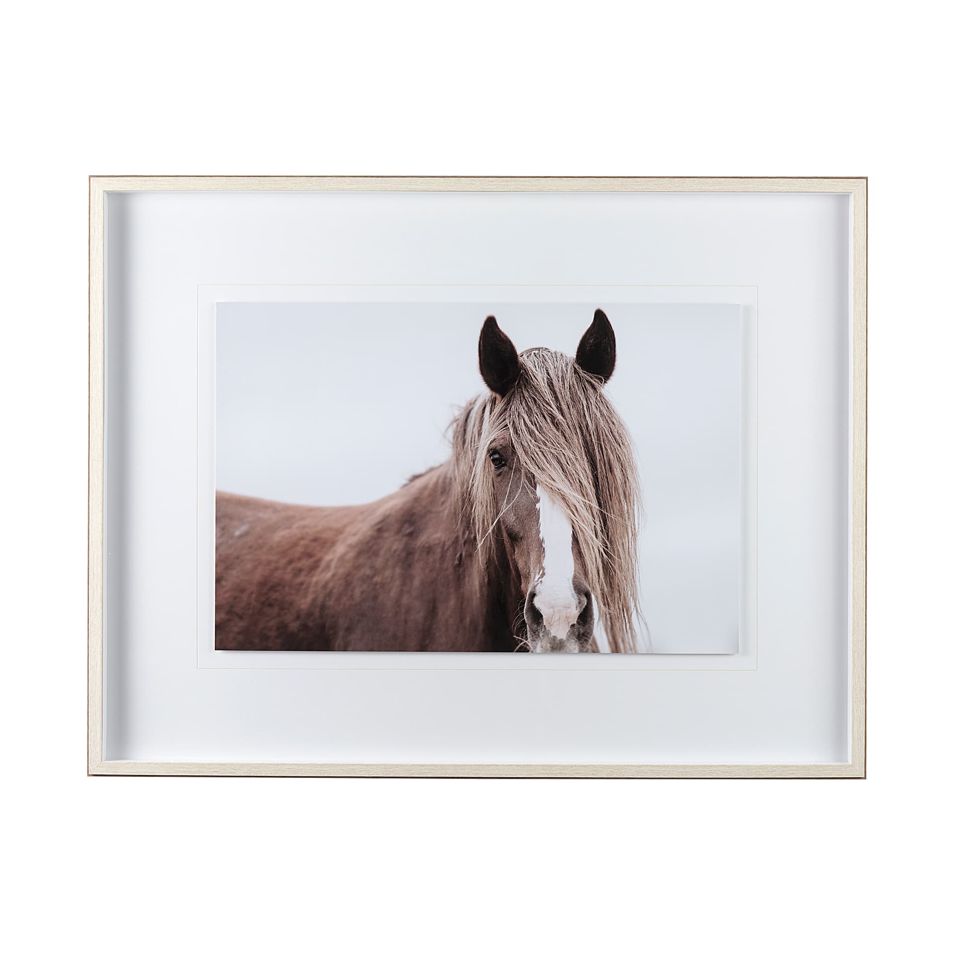 Wild Mane by Mercana Studio a Framed Photo Art Print Matted under Glass — product photograph