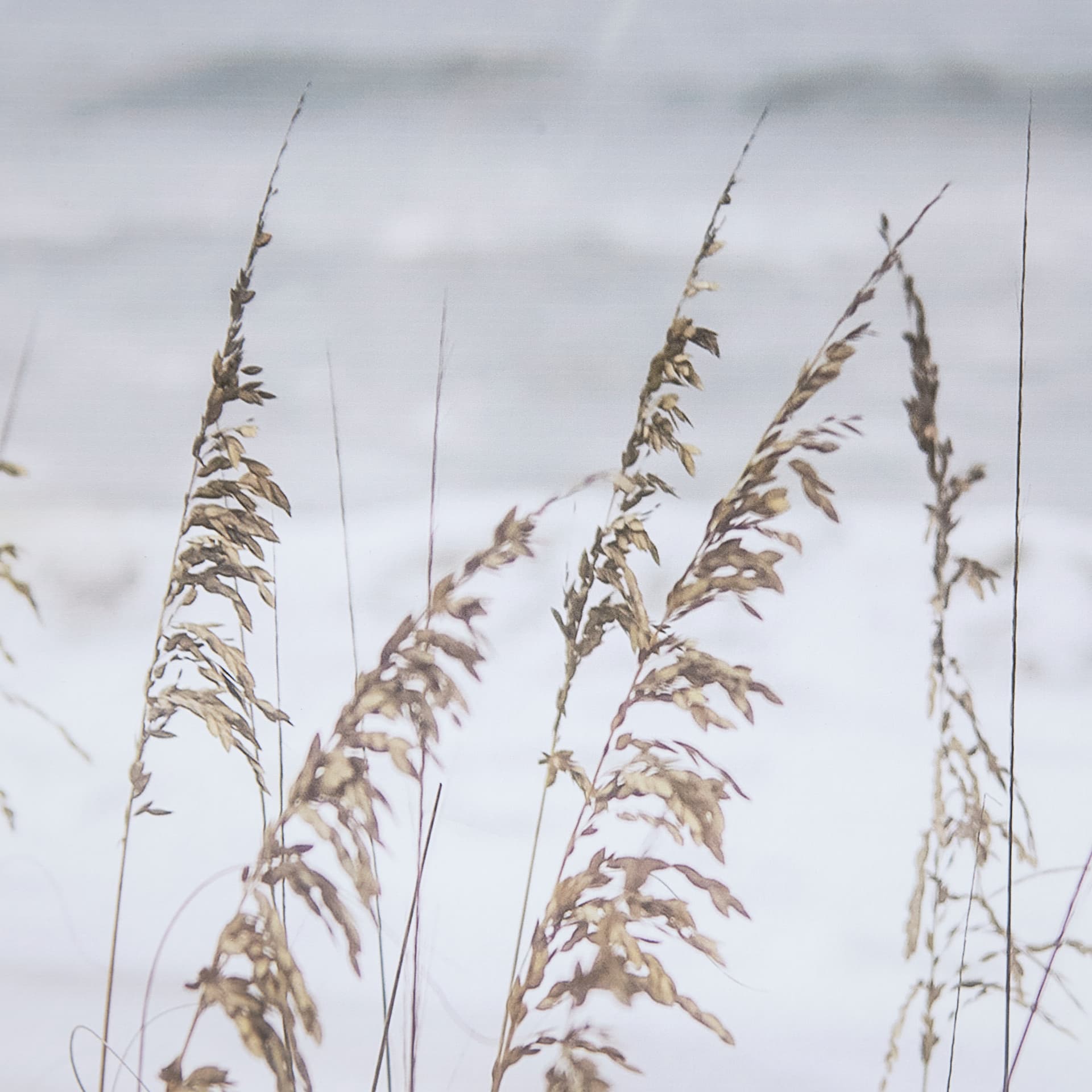 Silver Seagrass by Marlana Semenza a Hand Embellished Textured Framed Photo Art Print Matted under G — product photograph