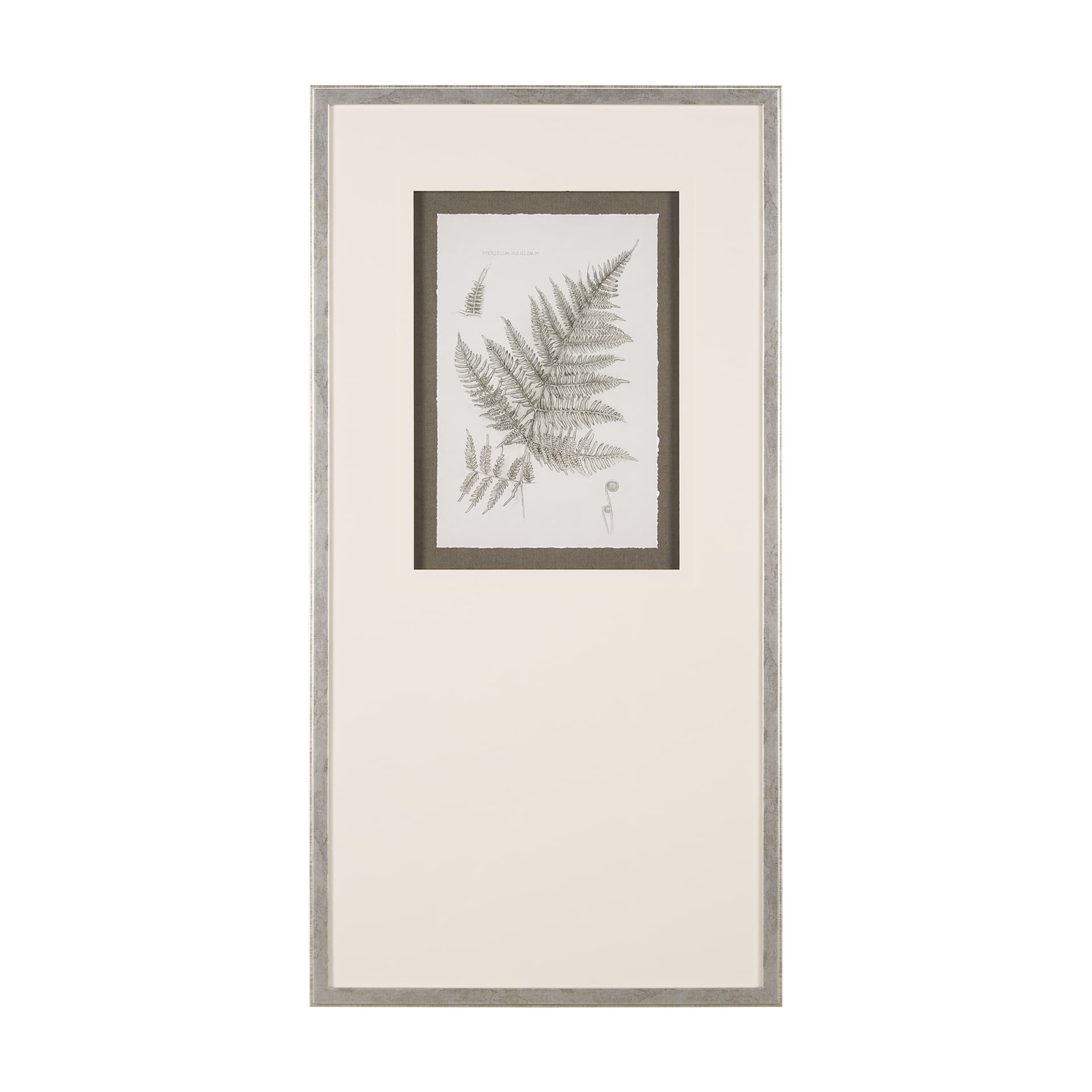 Fern Study III by Mercana Studio Hand Embelished Framed Art Print Matted under Glass — product photograph