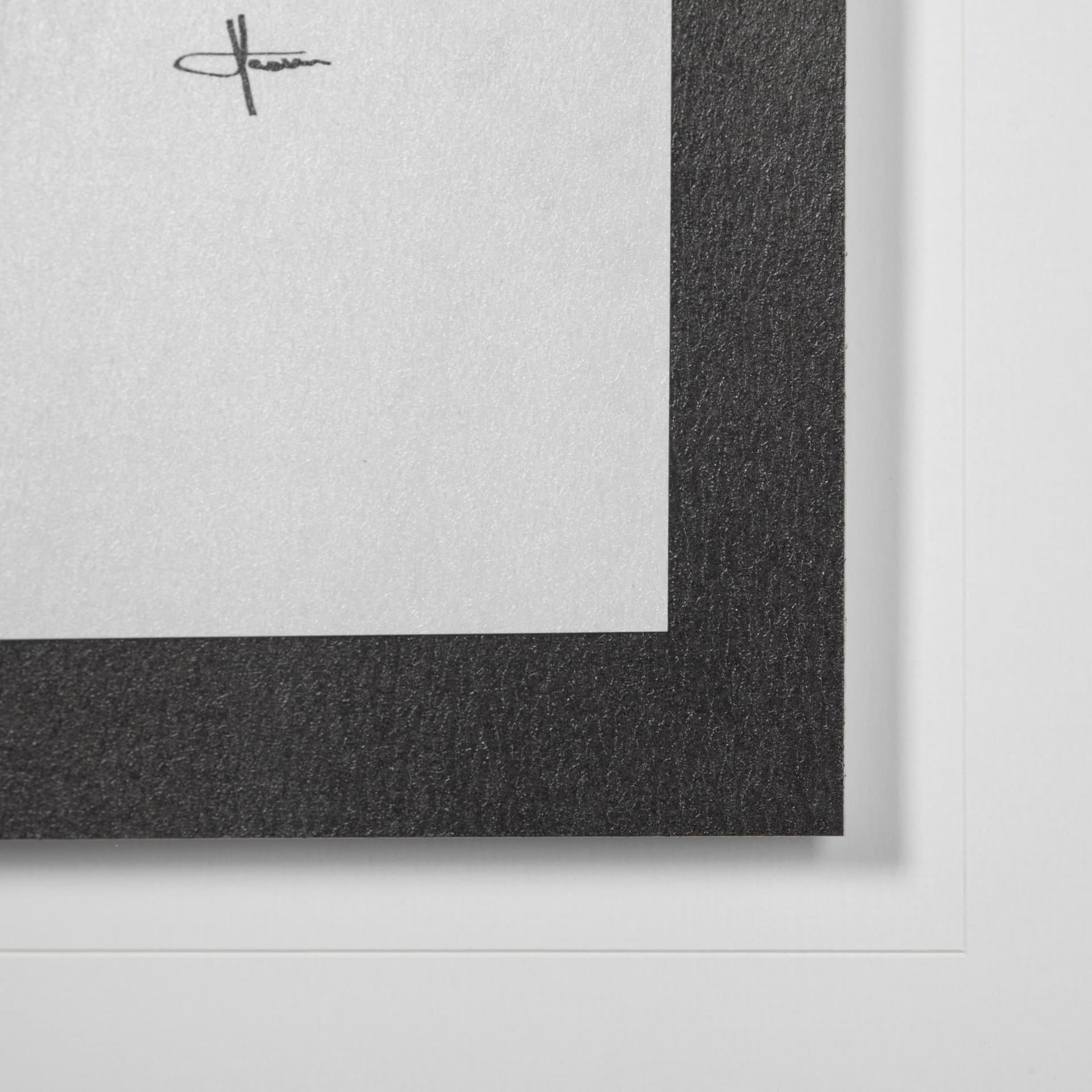 Bison I by Mercana Studio a Hand Embellished Textured Framed Art Print Matted under Glass — product photograph