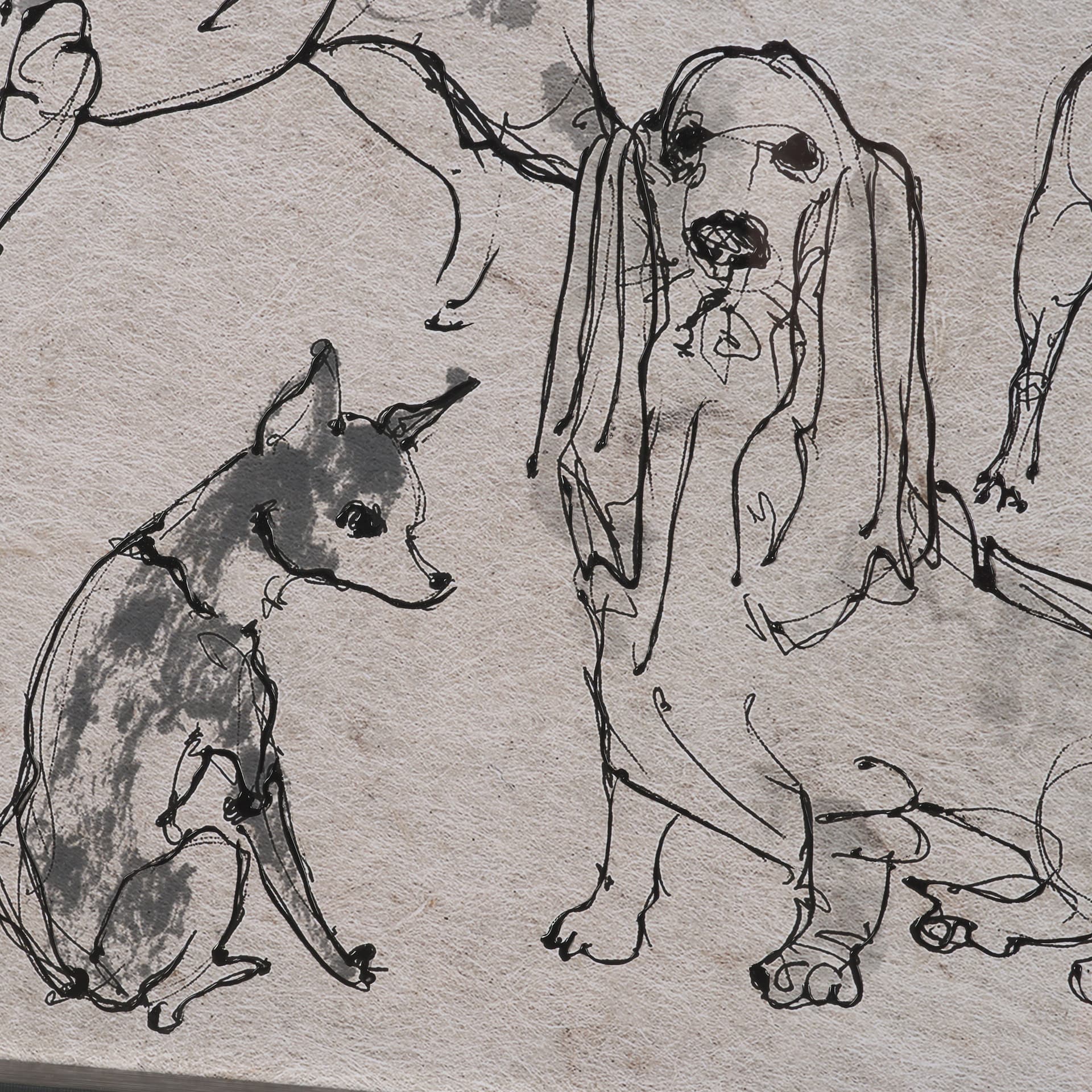 Dog Sketches II by Mercana Studio Hand Embelished Framed Artwork Matted under Glass — product photograph