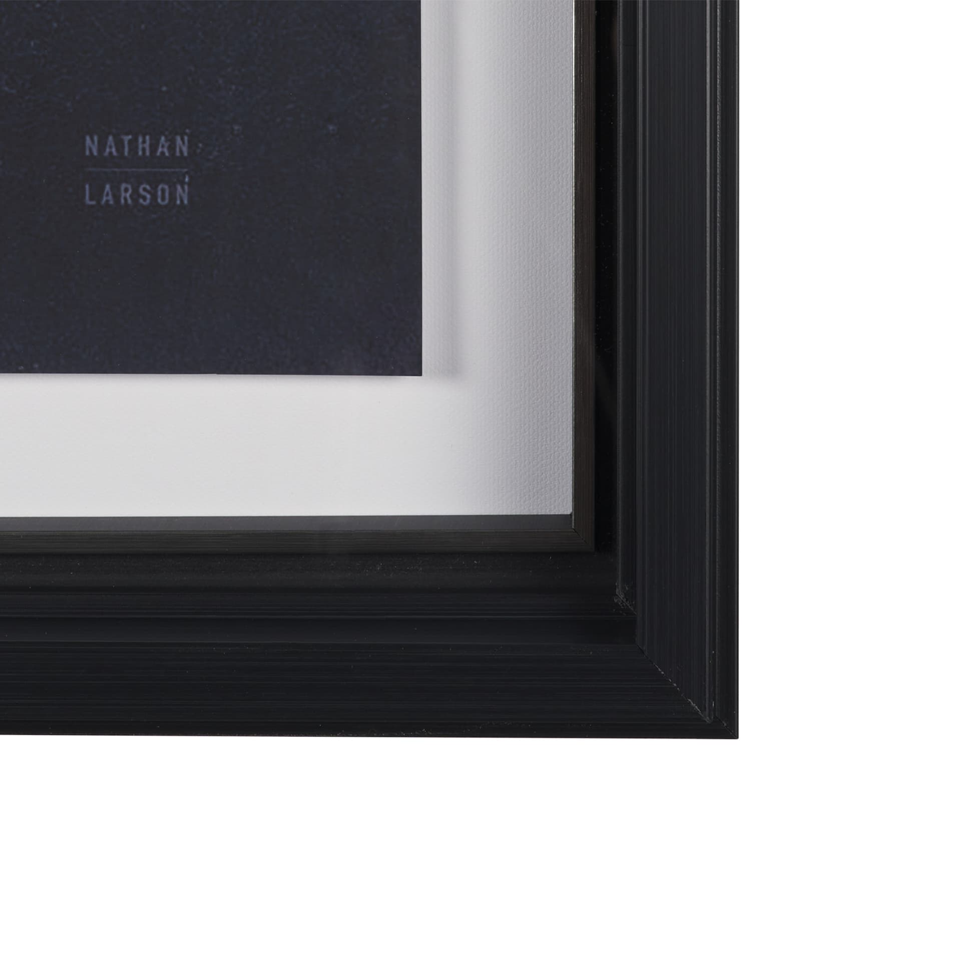 Urchin Still Life III by Nathan Larson a Hand Embellished Framed Photo Art Print Matted under Glass — product photograph