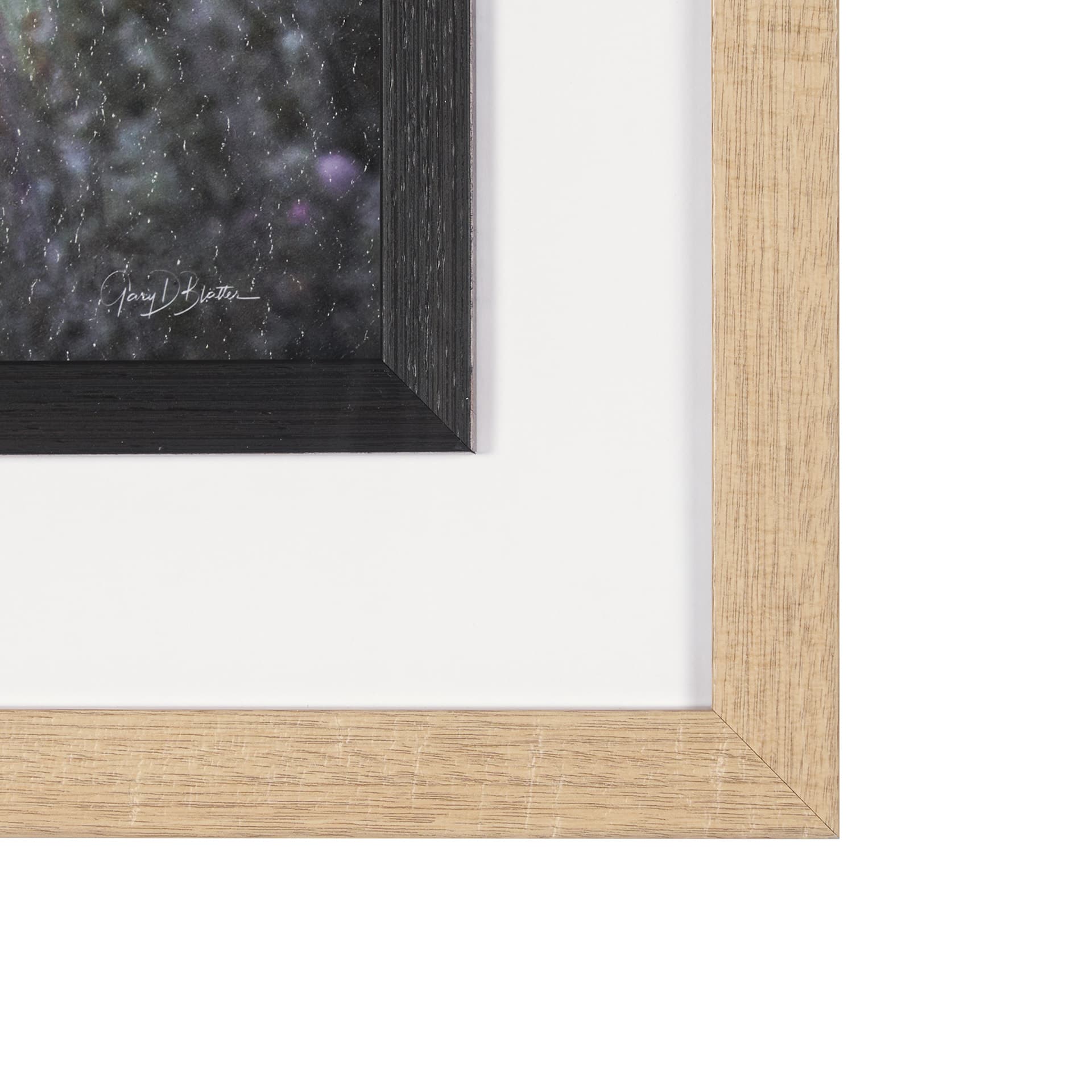 Longhorn 7 by Gary Blatter a Hand Embellished Framed Photo Art Print Matted under Glass — product photograph
