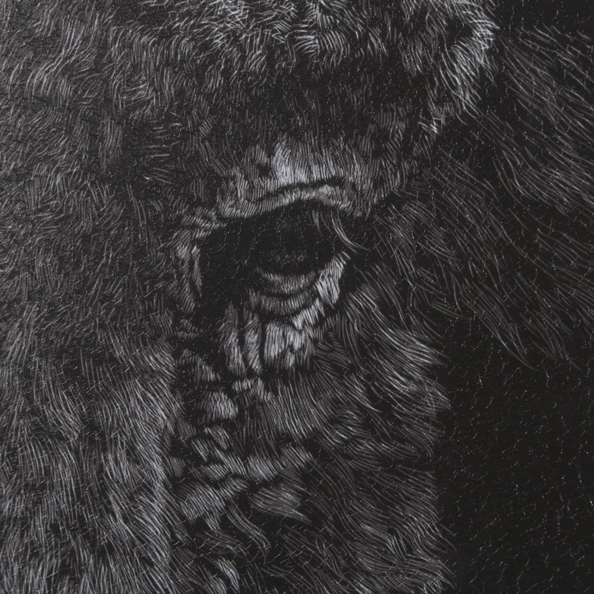 Custom Black Glimpse I by Mercana Studio Hand Embellished Framed Photo Art Print Matted under Glass — product photograph