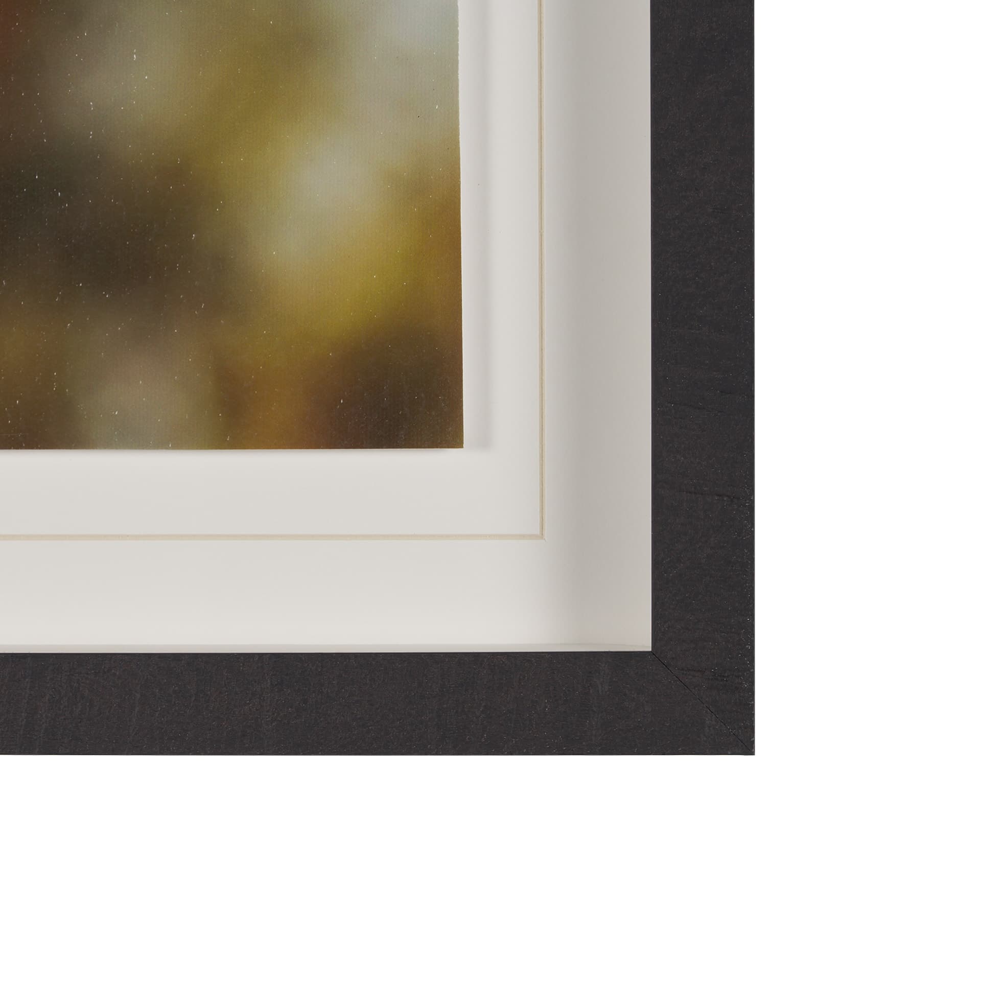 Down to Earth by Stig Kalvelid a Hand Embellished Framed Photo Art Print Matted under Glass — product photograph