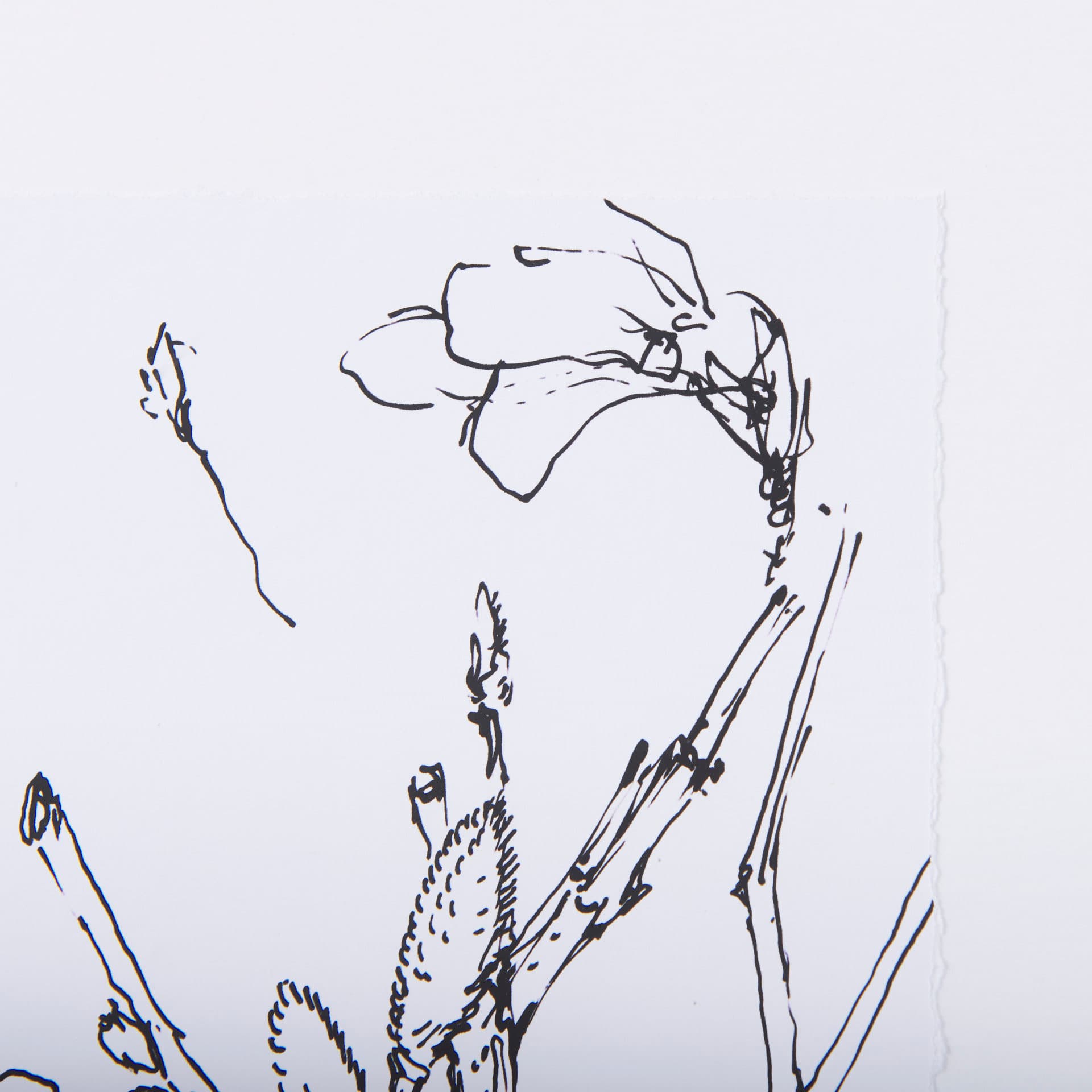 Spring Blooming VI by Mercana Studio a Hand Embellished Textured Framed Art Print Matted under Glass — product photograph