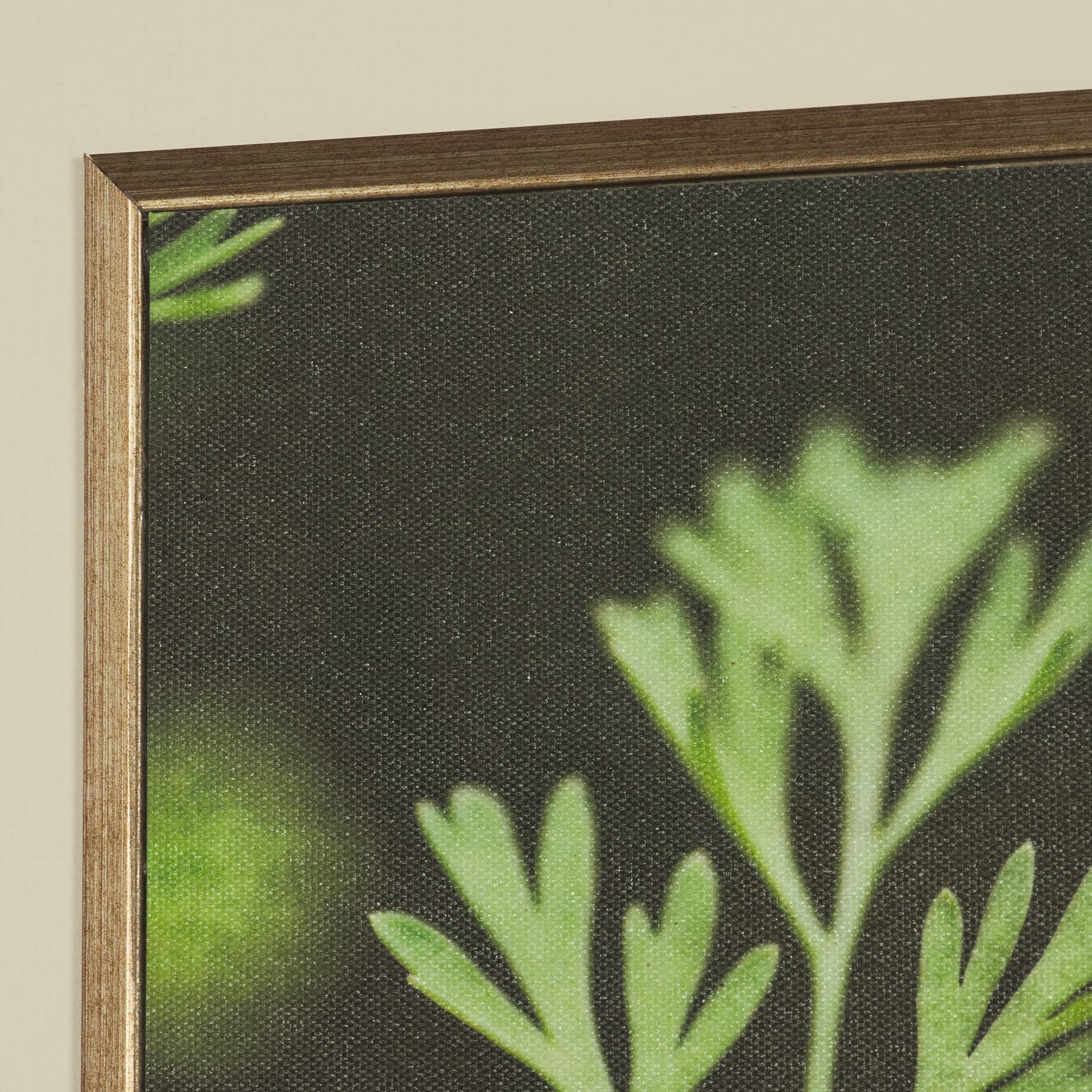 Green Growth by Michael Banks a Hand Embellished Framed Photo Art Print Matted under Glass — product photograph
