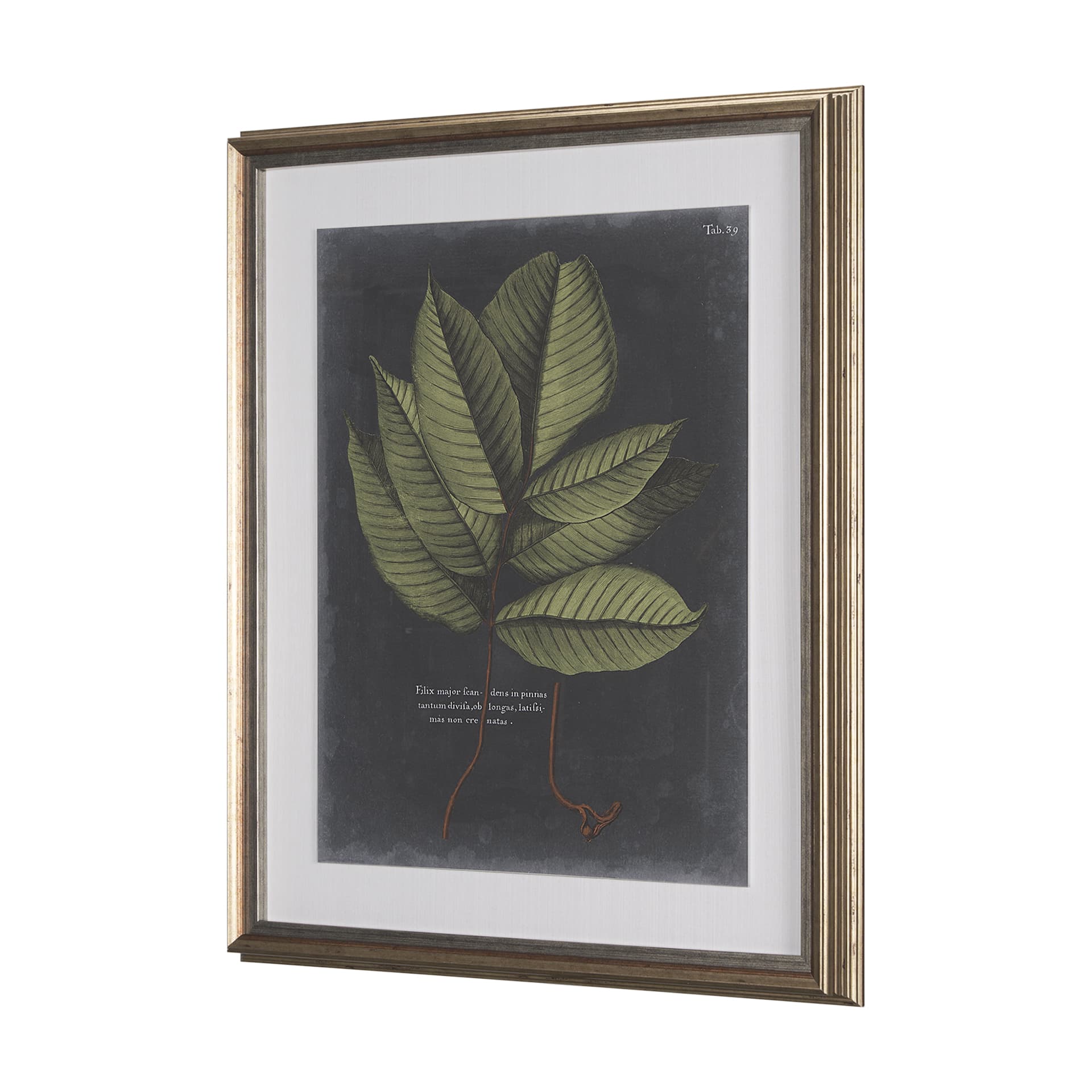 Foliage Dramatique III by Vision Studio Hand Embellished Textured Framed Art Print Matted under Glas — product photograph