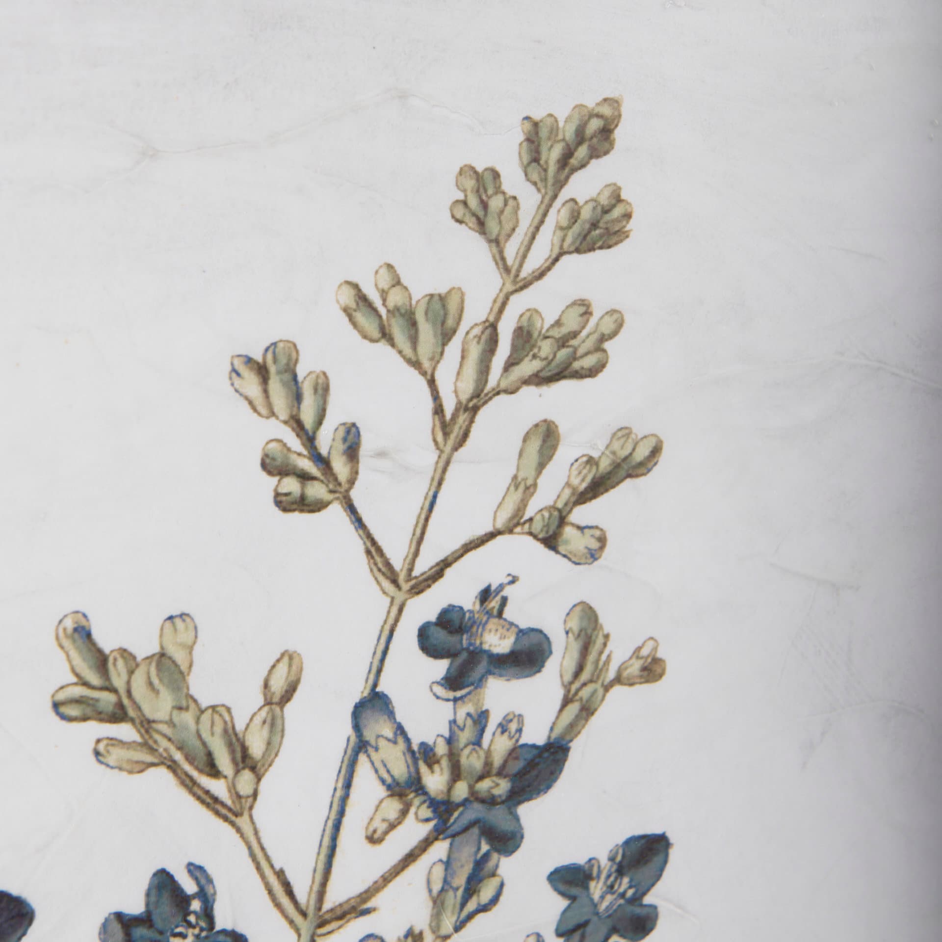 Soft Blue Botanoicals IV by Mercana Studio Hand Embellished Framed Art Print Matted under Glass — product photograph