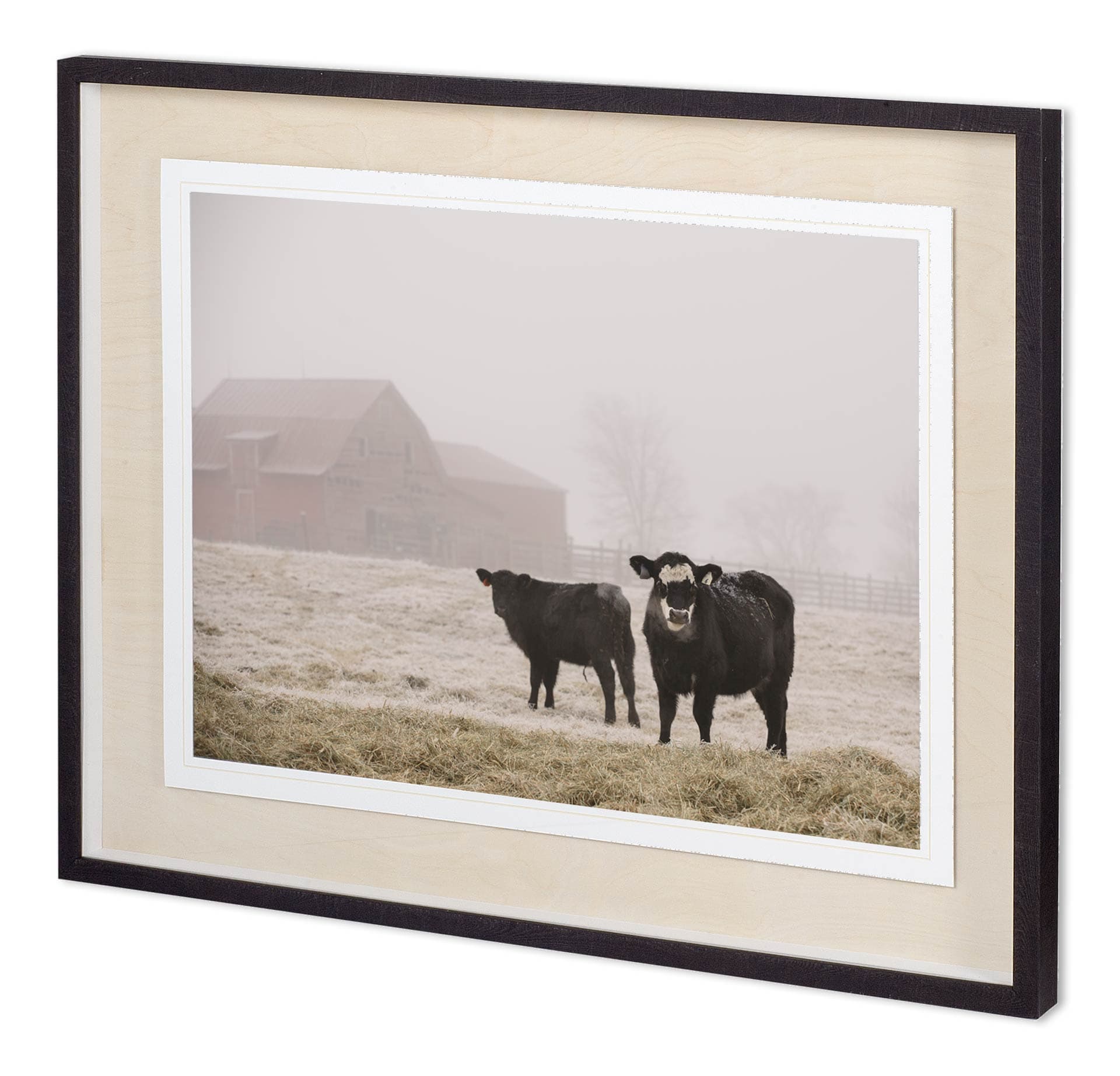 Custom Farm Study III by Adam Mead a Framed Photo Art Print Matted under Glass — product photograph