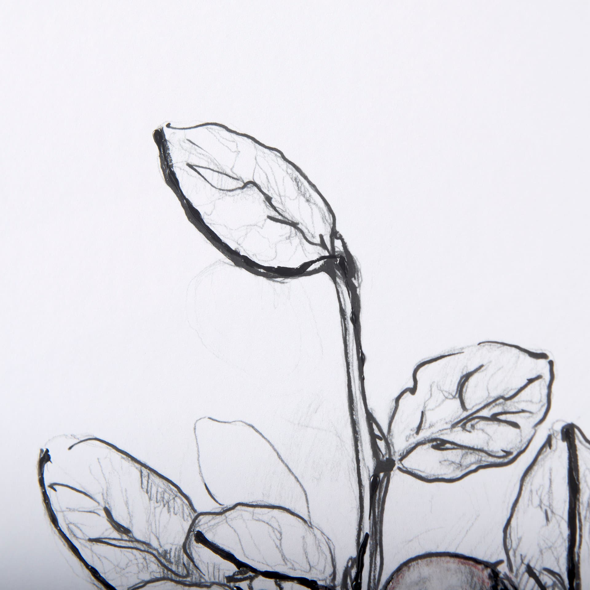 WildBerry Collection Hucklberry Mercana Studio Hand Embellished Framed Art Print Matted under Glass — product photograph
