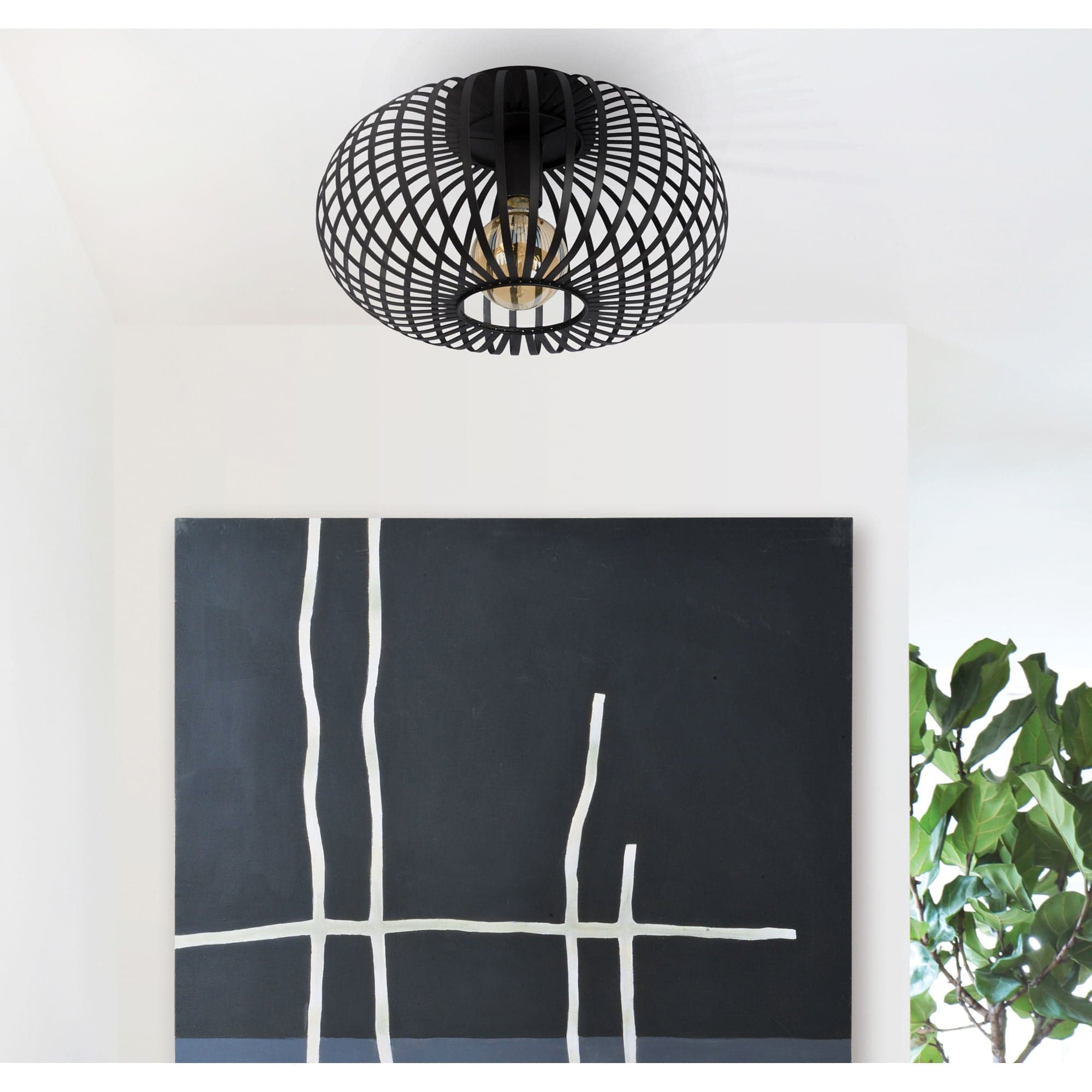 Ivy — product photograph