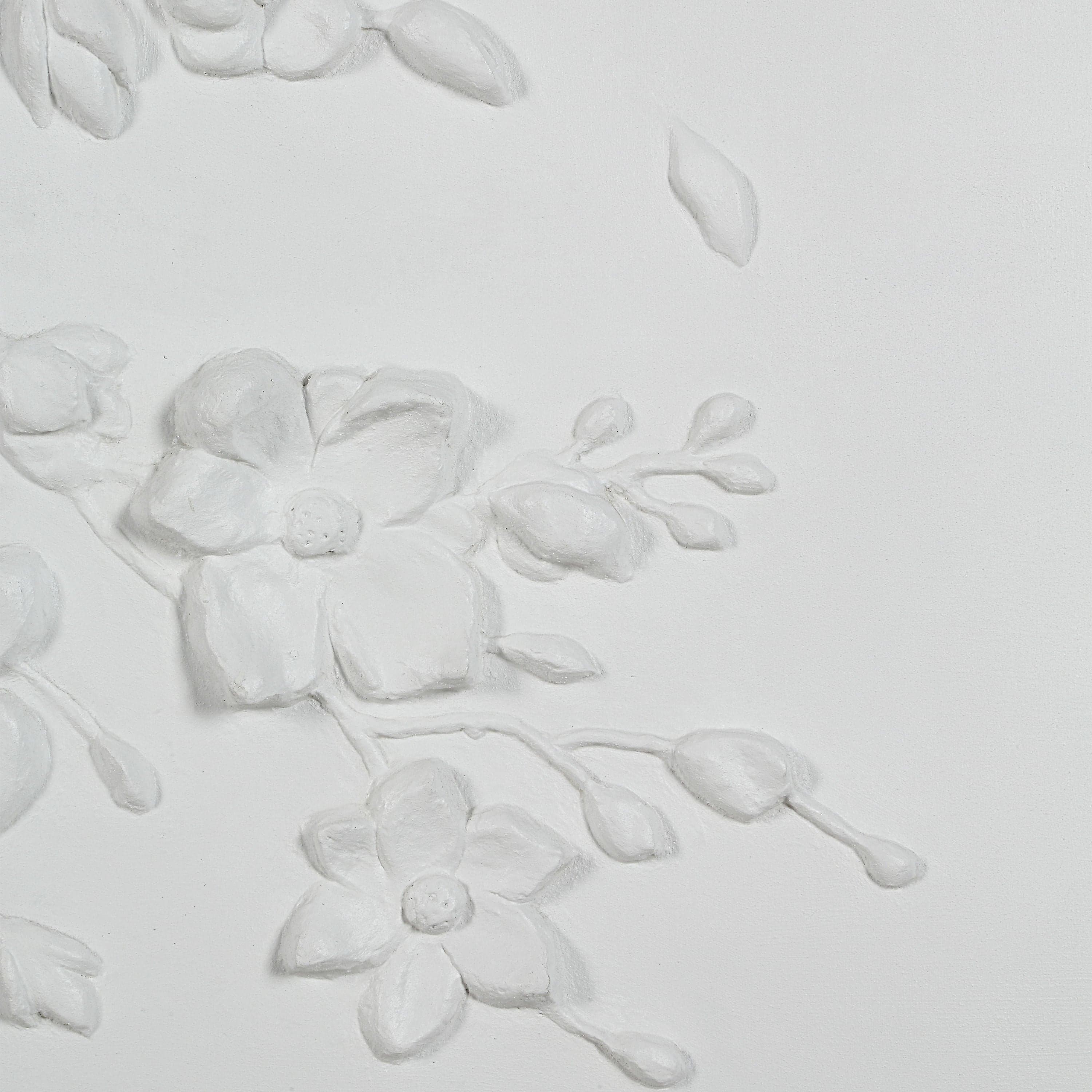 Beaudelaire — product photograph