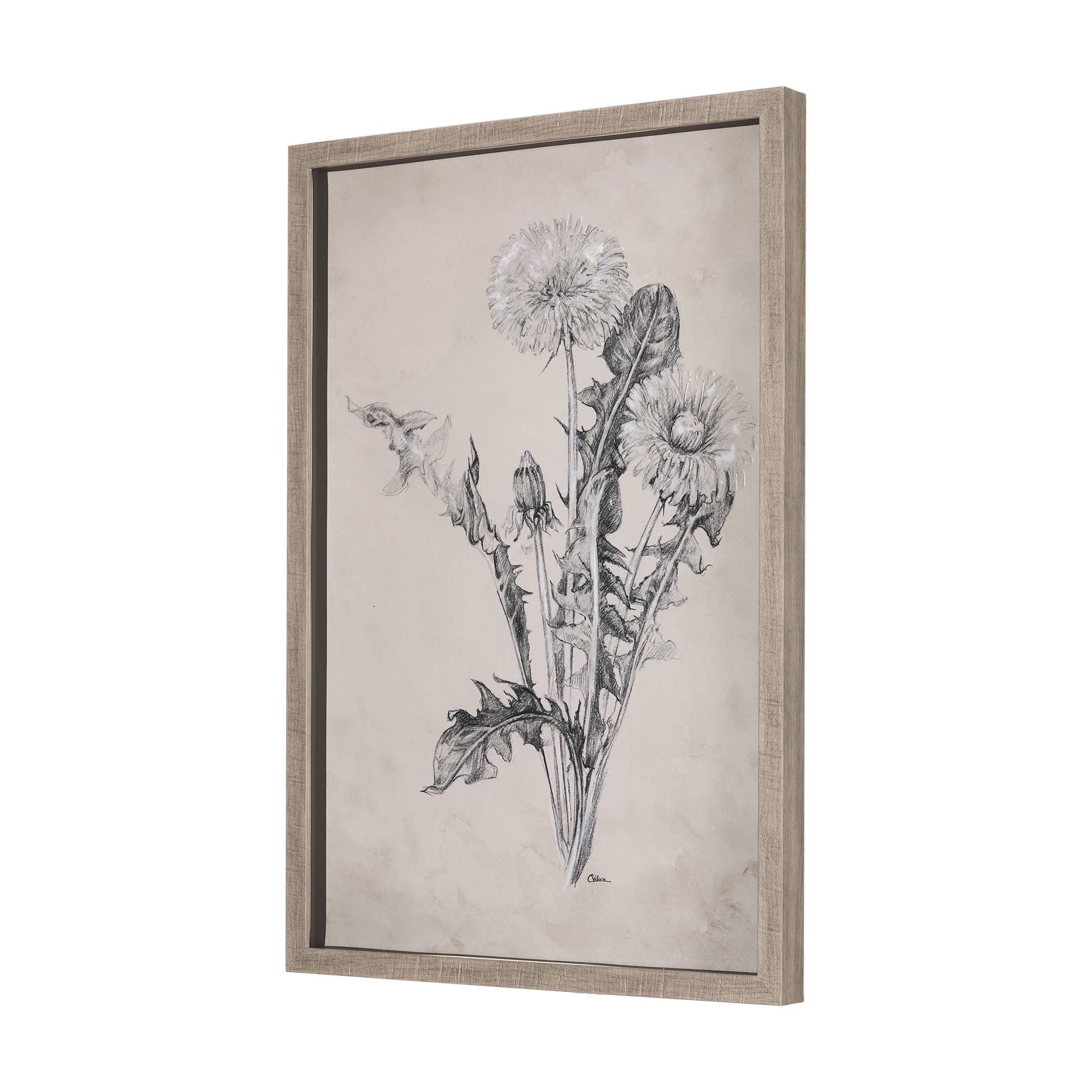Dandelion Drawing II by Mercana Studio Hand Embellished Textured Framed Art Print Matted under Glass — product photograph