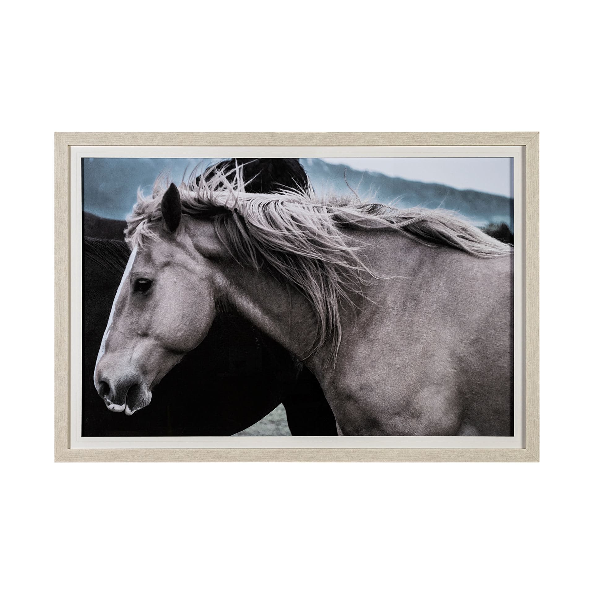Close Companions by Nathan Kane a Framed Photo Art Print Matted under Glass — product photograph
