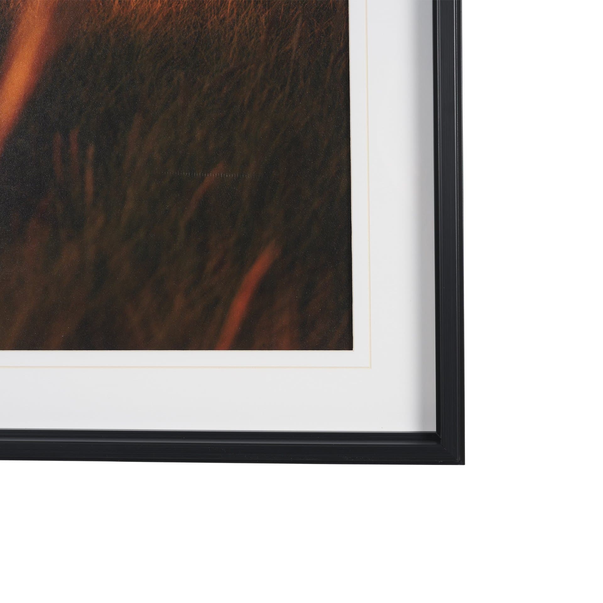 Cannon Beach Elk by Stefan and Audrey Textured Framed Photo Print Matted under Glass — product photograph
