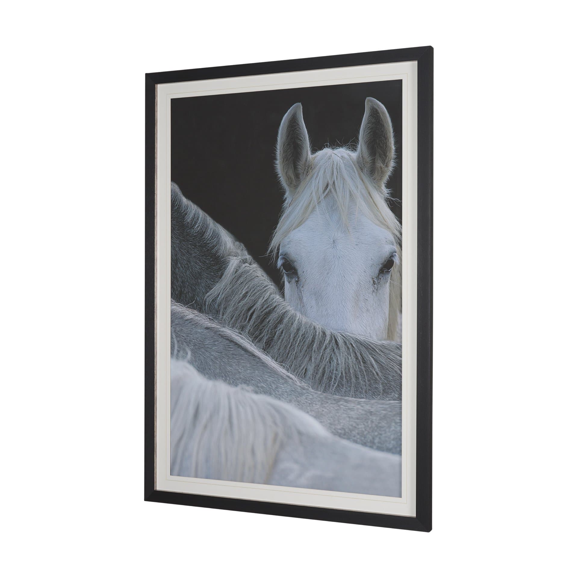Look by Milan Malovrh FramedPhoto Print Matted under Glass — product photograph