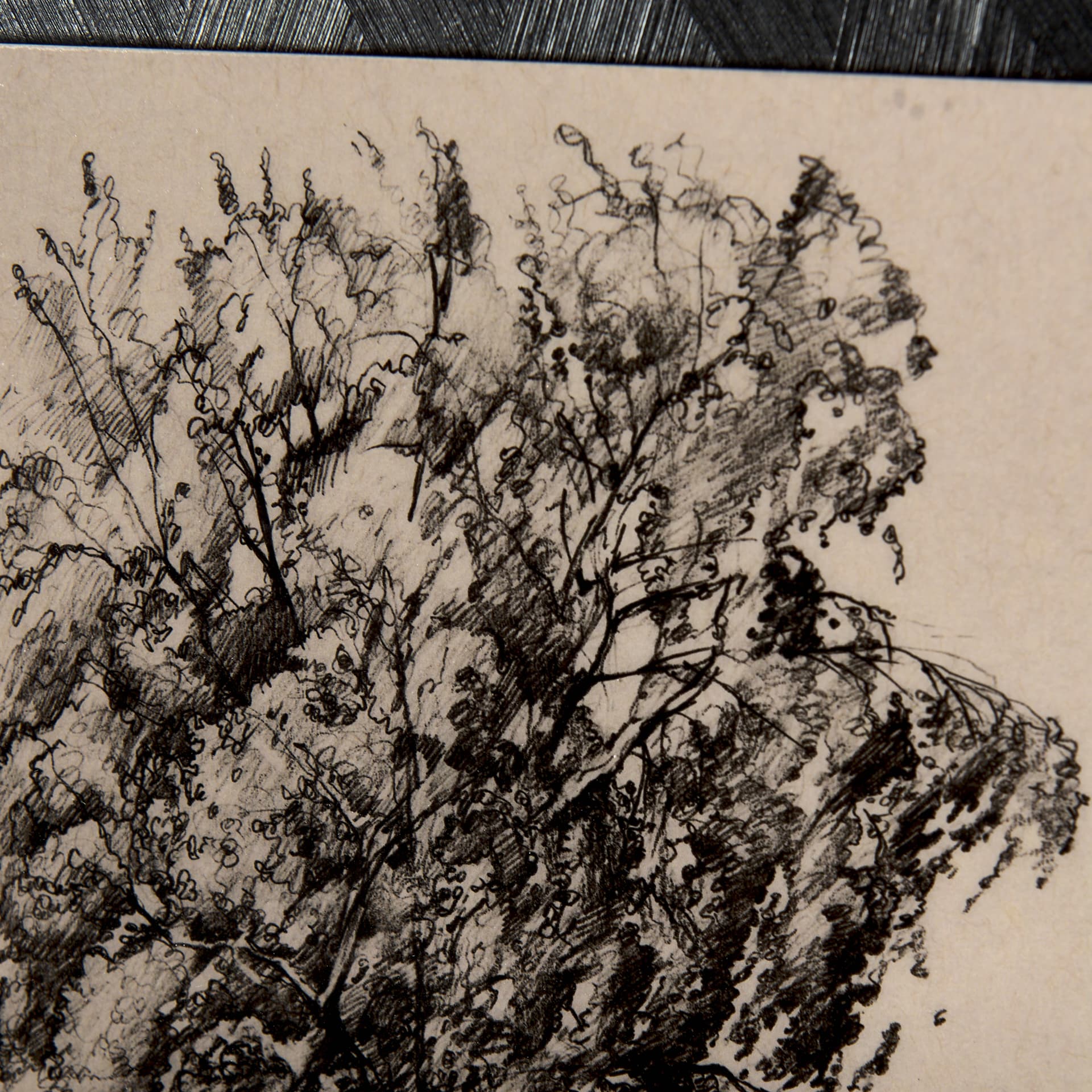 Tree Drawing II by Mercana Studio a Hand Embellished Textured Framed Art Print Matted under Glass — product photograph