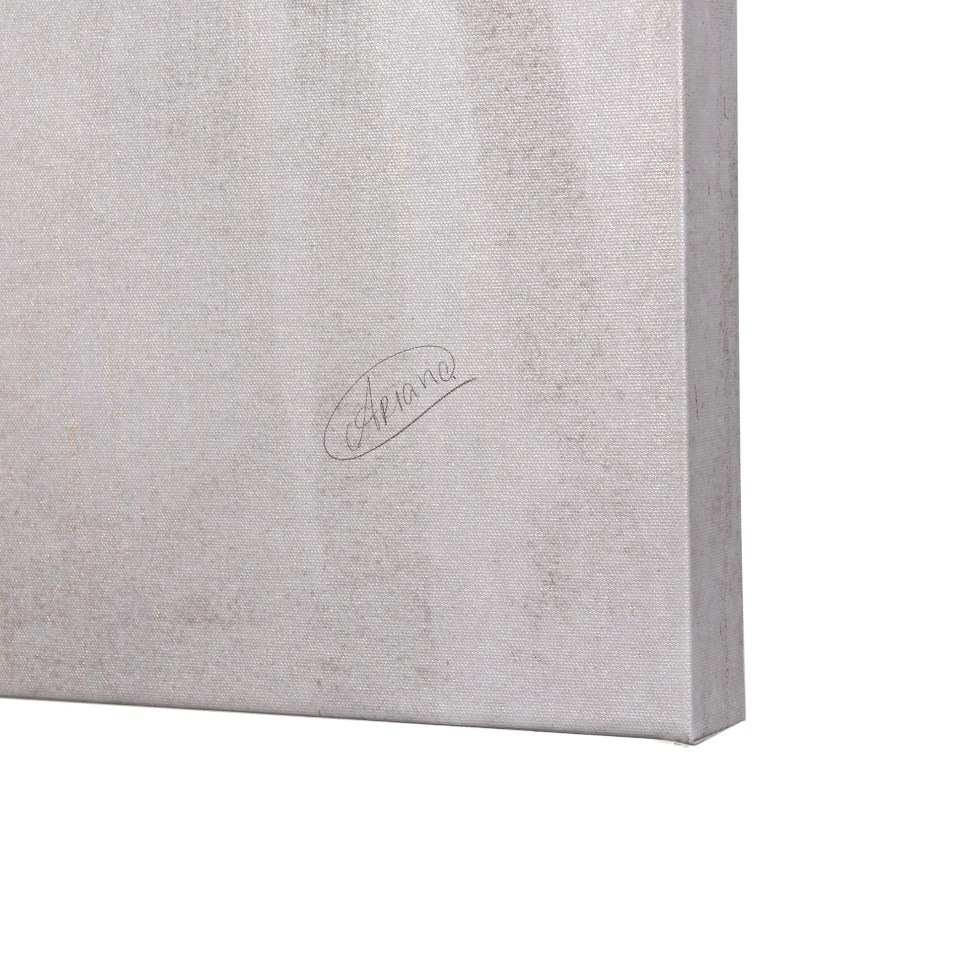 Shadows I by Mercana Studio a Hand Embellished Textured Canvas — product photograph