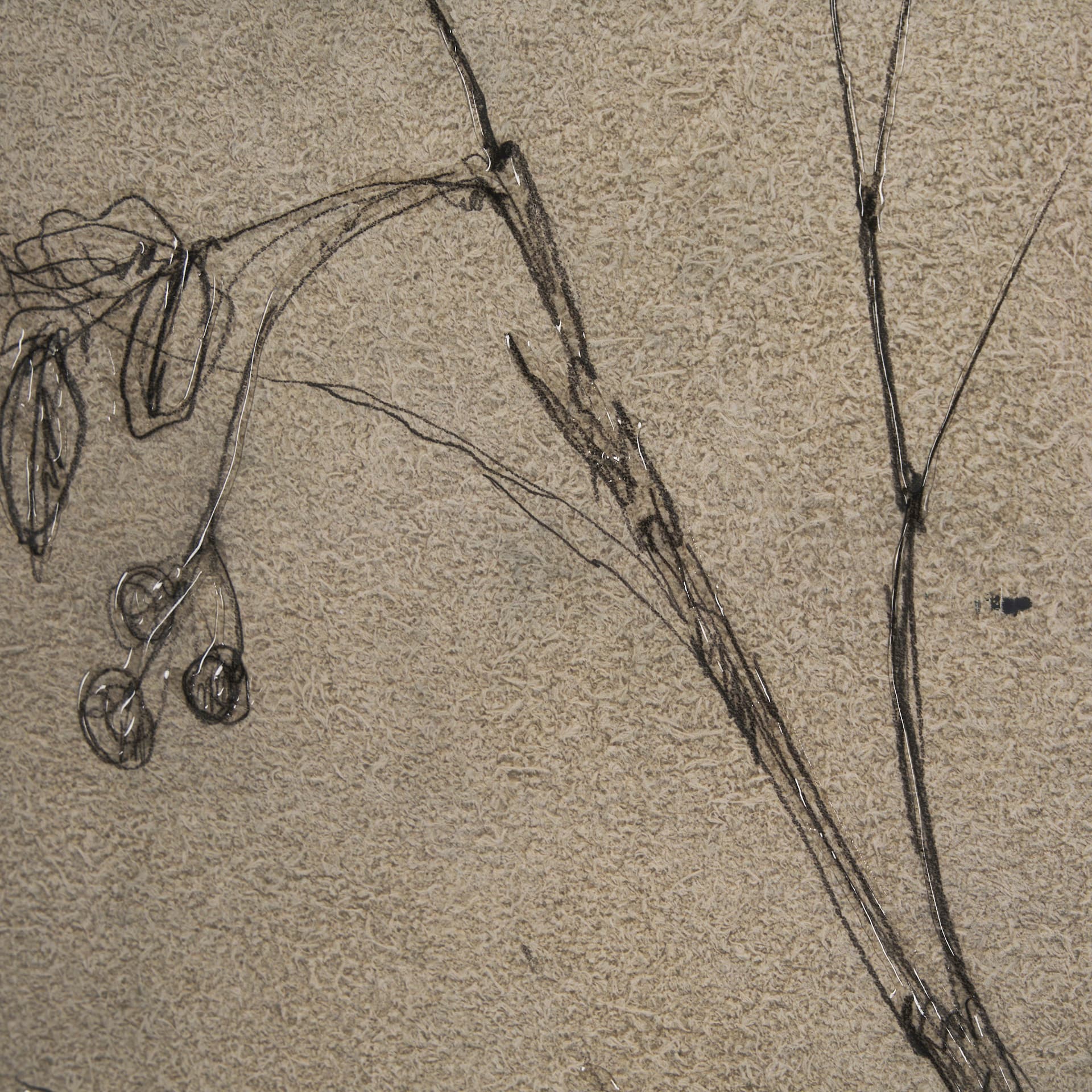 Black Chokecherry 2 by Mercana Studio a Hand Embellished Framed Art Print Matted under Glass — product photograph