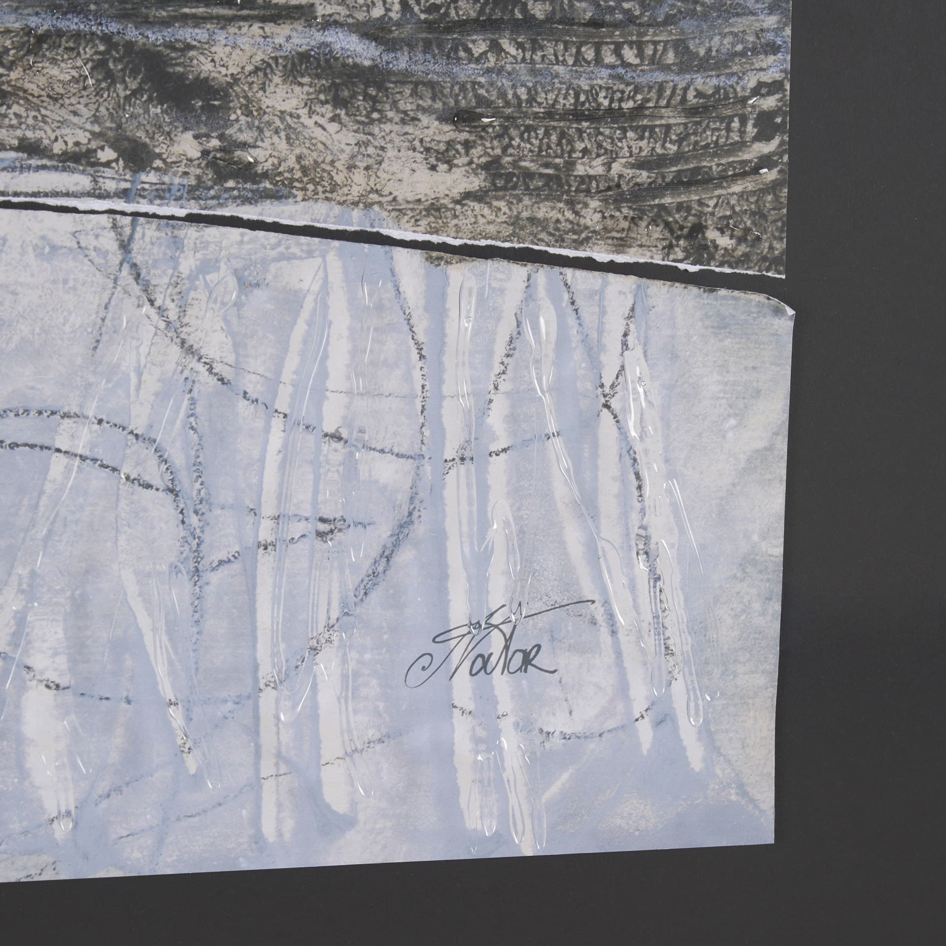 Mesmerized View II by Mercana Studio a Hand Embellished Framed Art Print Matted under Glass — product photograph