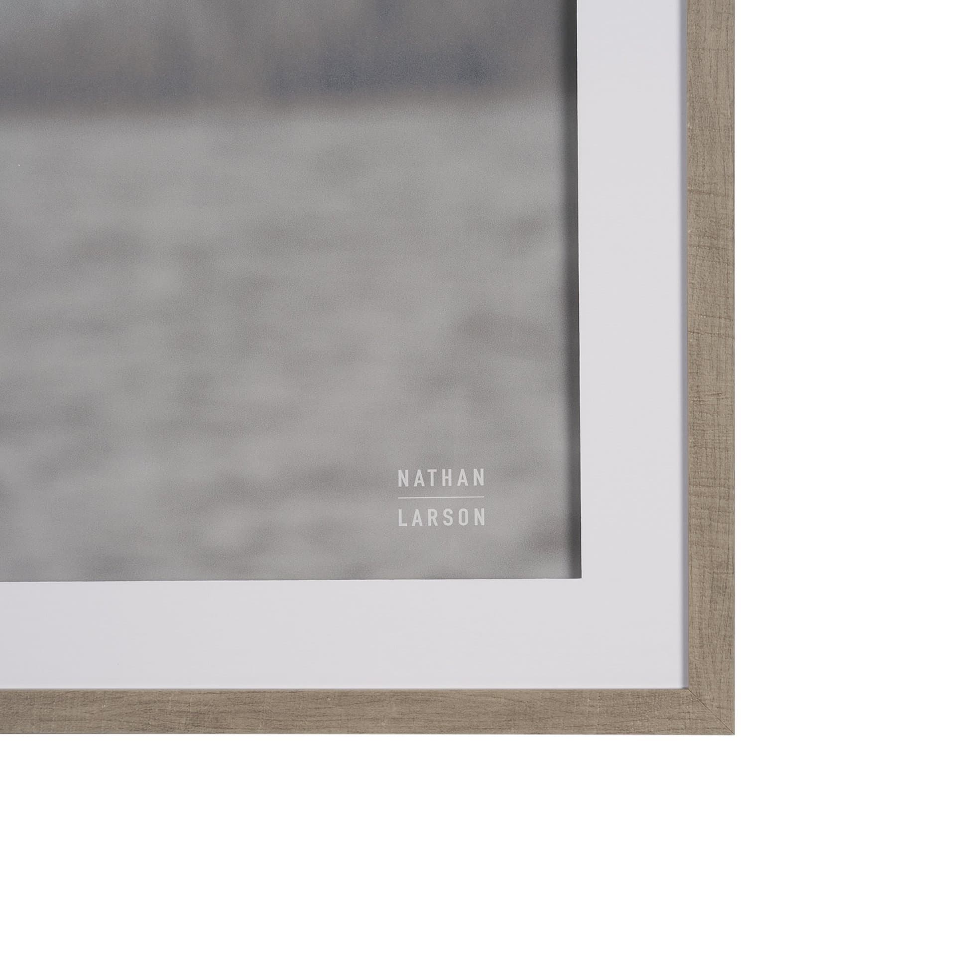 Pelican Stories by Nathan Larson Framed Art Print Matted under Glass — product photograph