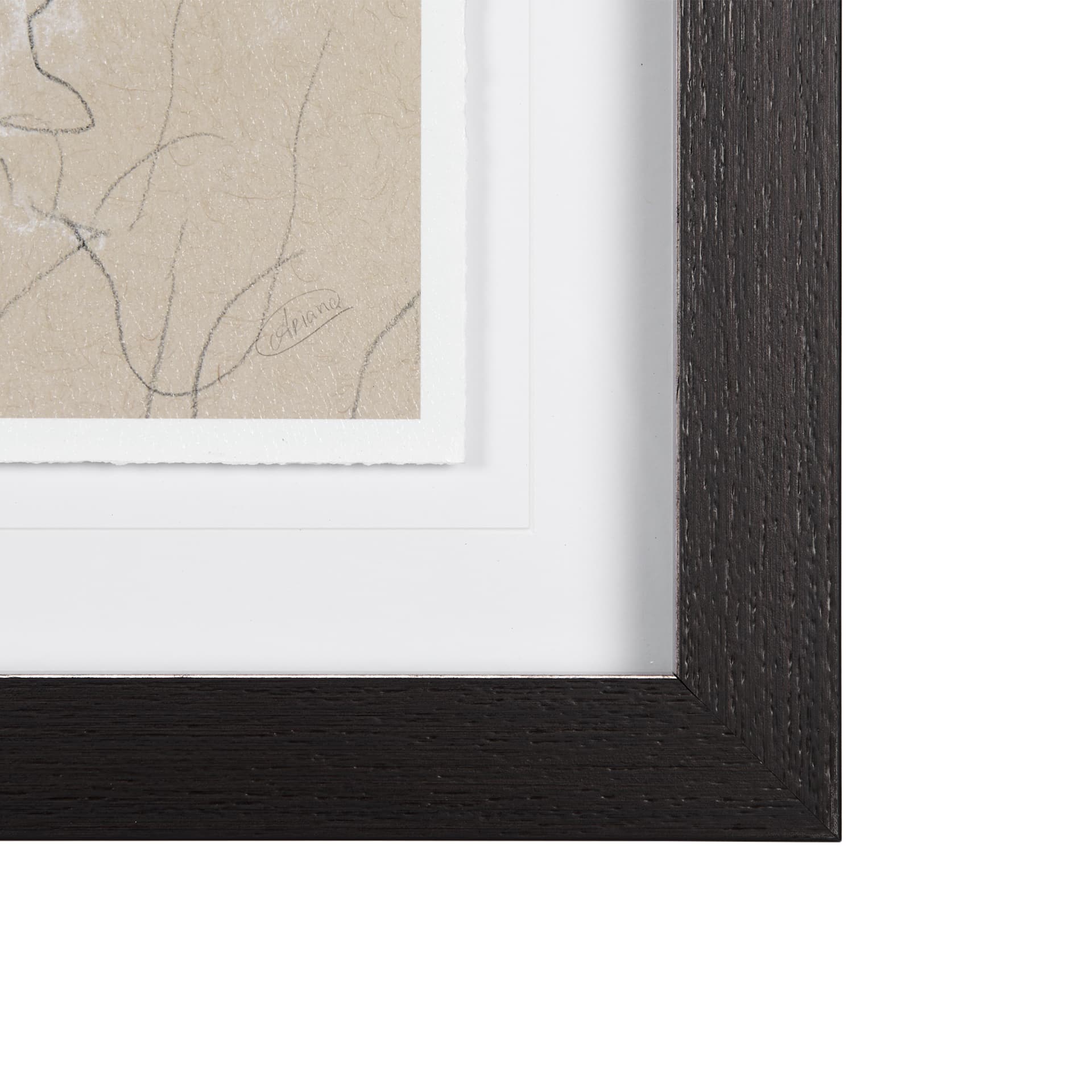 Sketch of Animal IX (Bison) by Mercana Studio Hand Embellished Framed Art Print Matted under Glass — product photograph