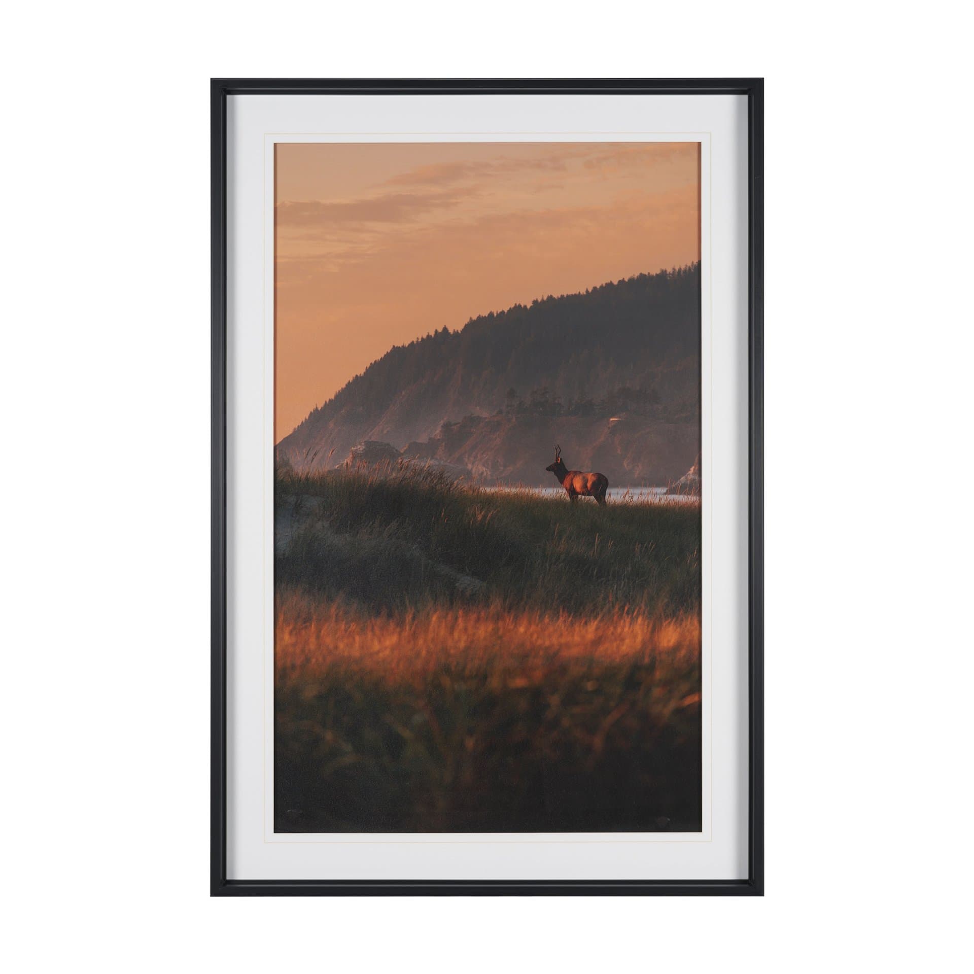 Elk by Stefan and Audrey Textured Framed Photo Print Matted under Glass — product photograph