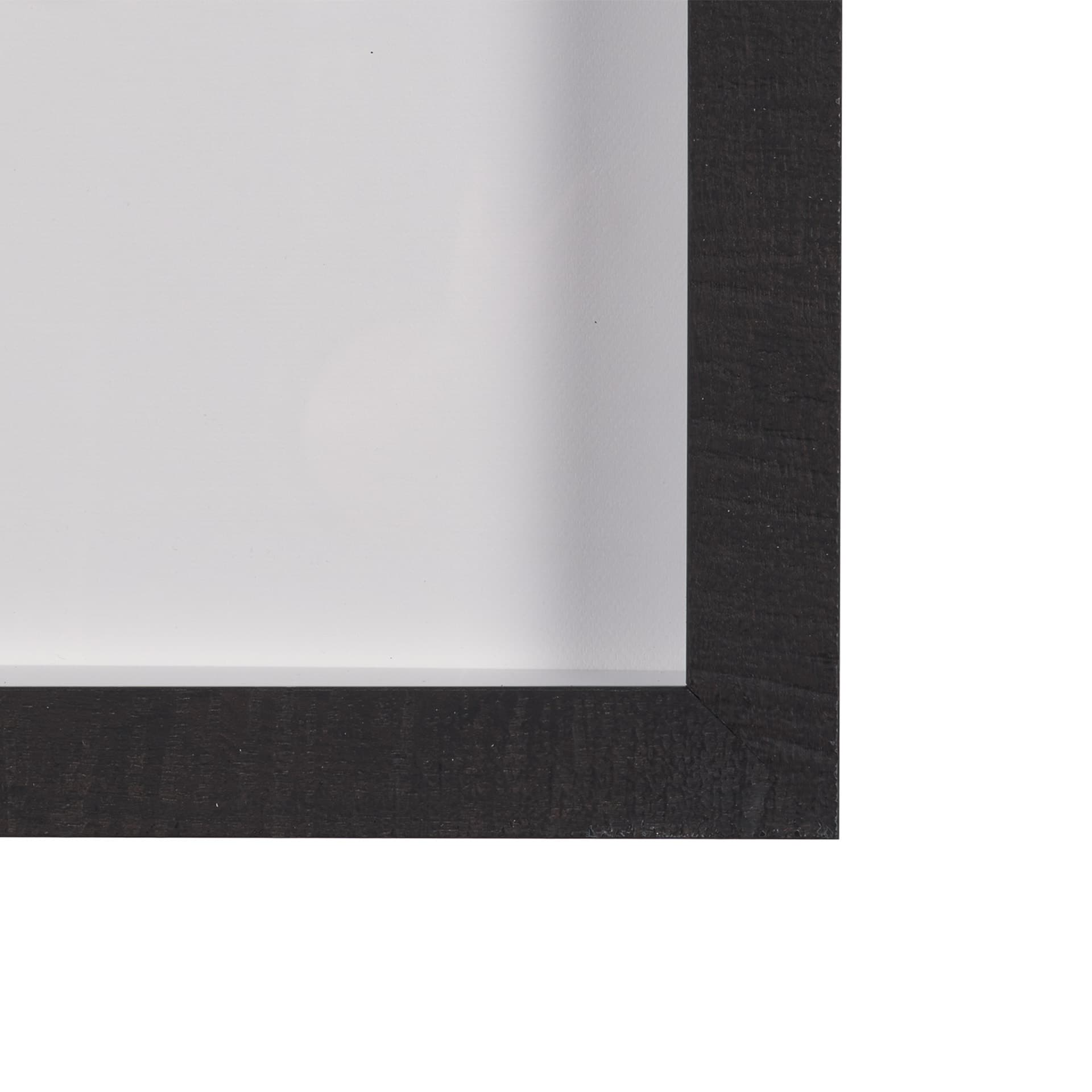 Botany Blades by Michael Banks a Hand Embellished Framed Photo Art Print Matted under Glass — product photograph