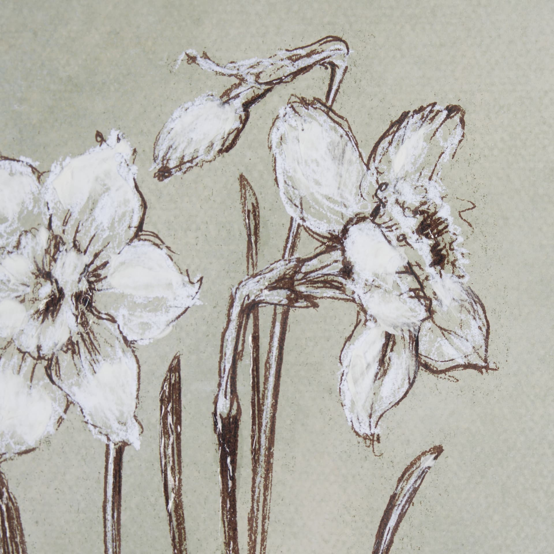 Botanical Sketch II (green) by Mercana Studio Hand Embellished Framed Art Print Matted under Glass — product photograph