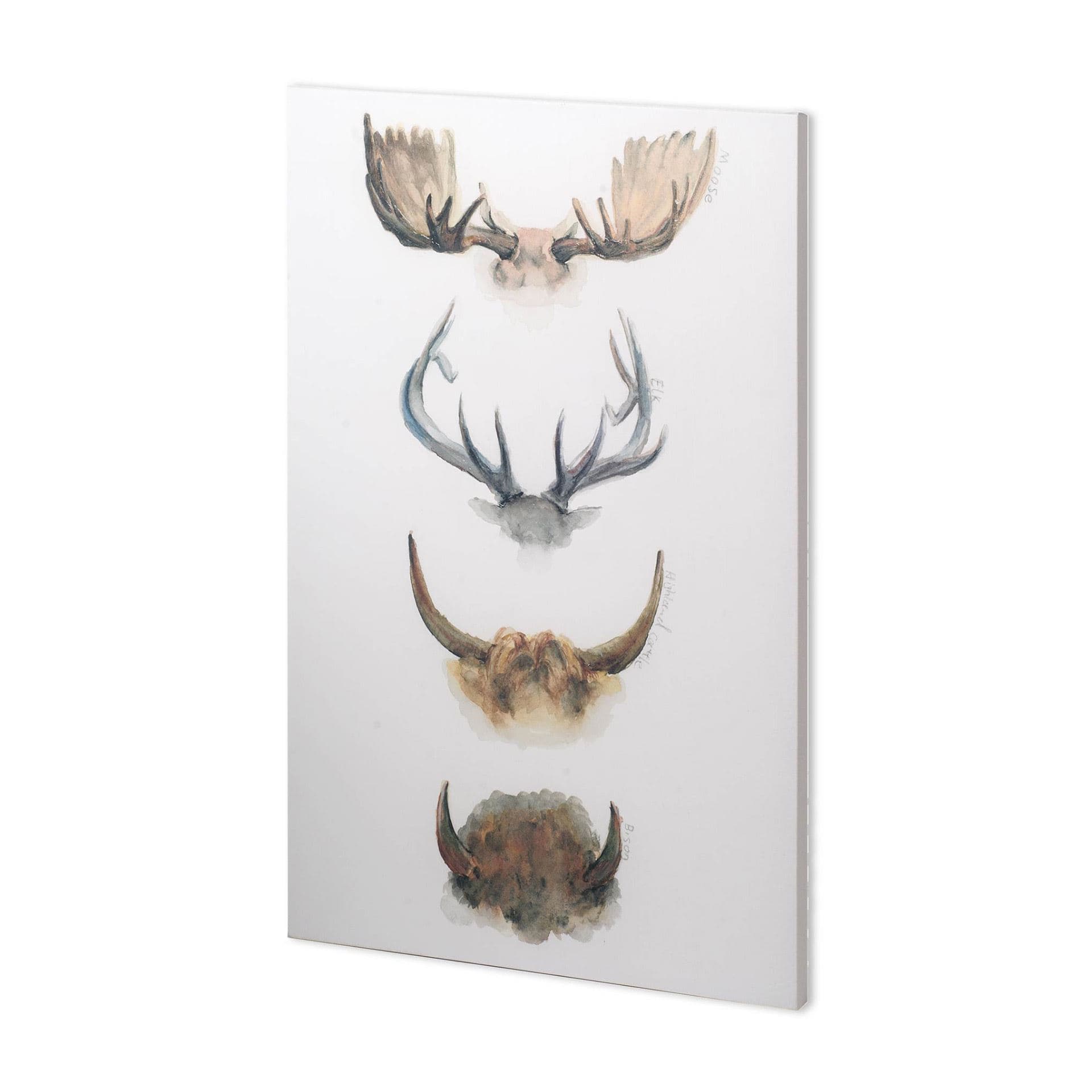 Horn & Tail Study II by Mercana Studio a Hand Embellished Textured Canvas — product photograph