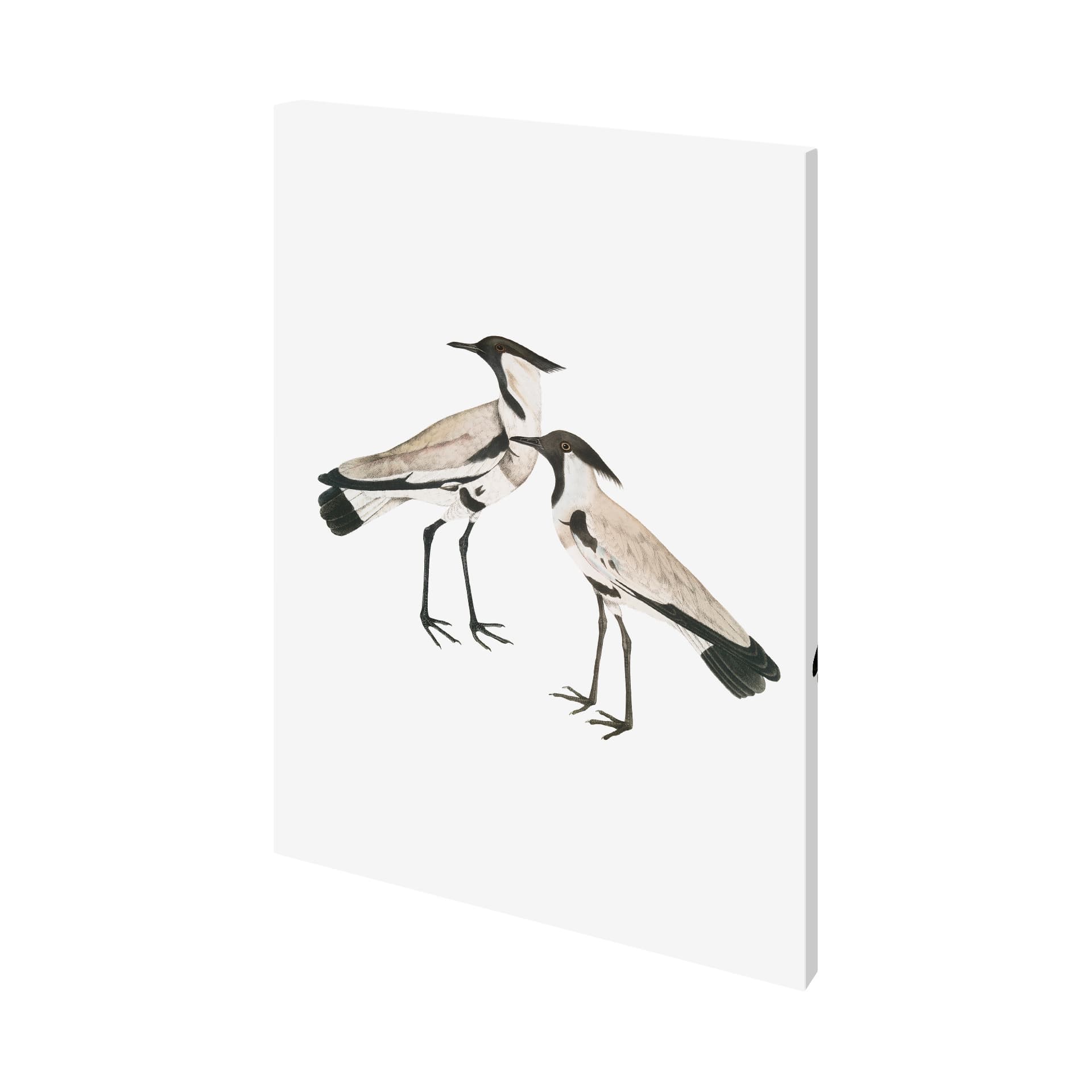 Spur-Winged Plover by Maria Mendez a Hand Embellished Textured Canvas — product photograph