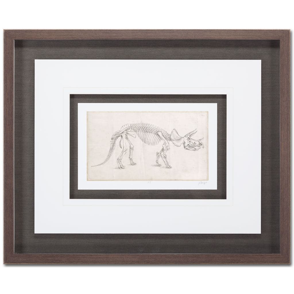 Custom Dinosaur Study II (MC) by Harper, Ethan a Framed Art Print Matted under Glass — product photograph