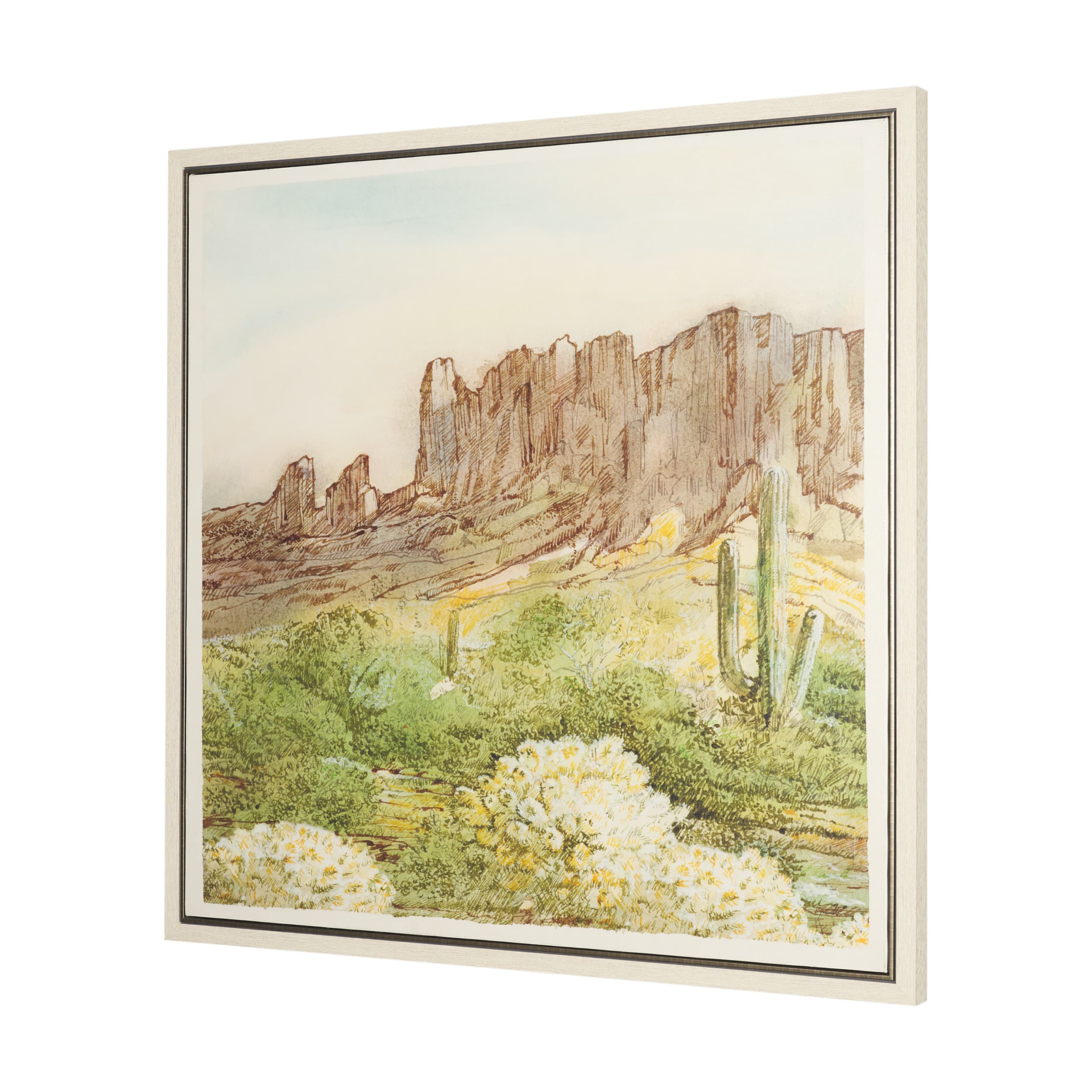 Cactus Country I by Mercana Studio Hand-Embellished Textured Framed Canvas Artwork — product photograph