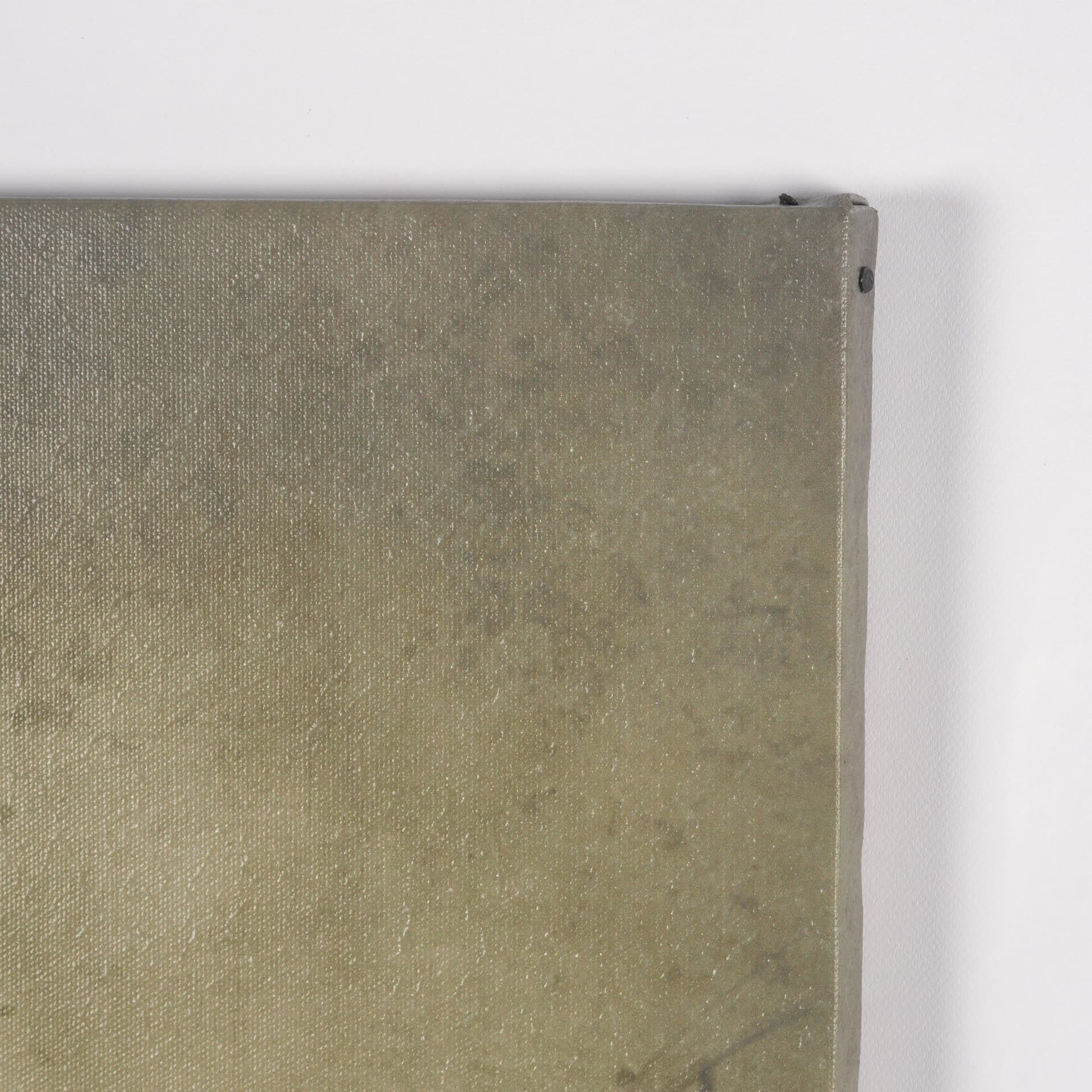 Botany Blades by Michael Banks a Hand Embellished Framed Photo Art Print Matted under Glass — product photograph