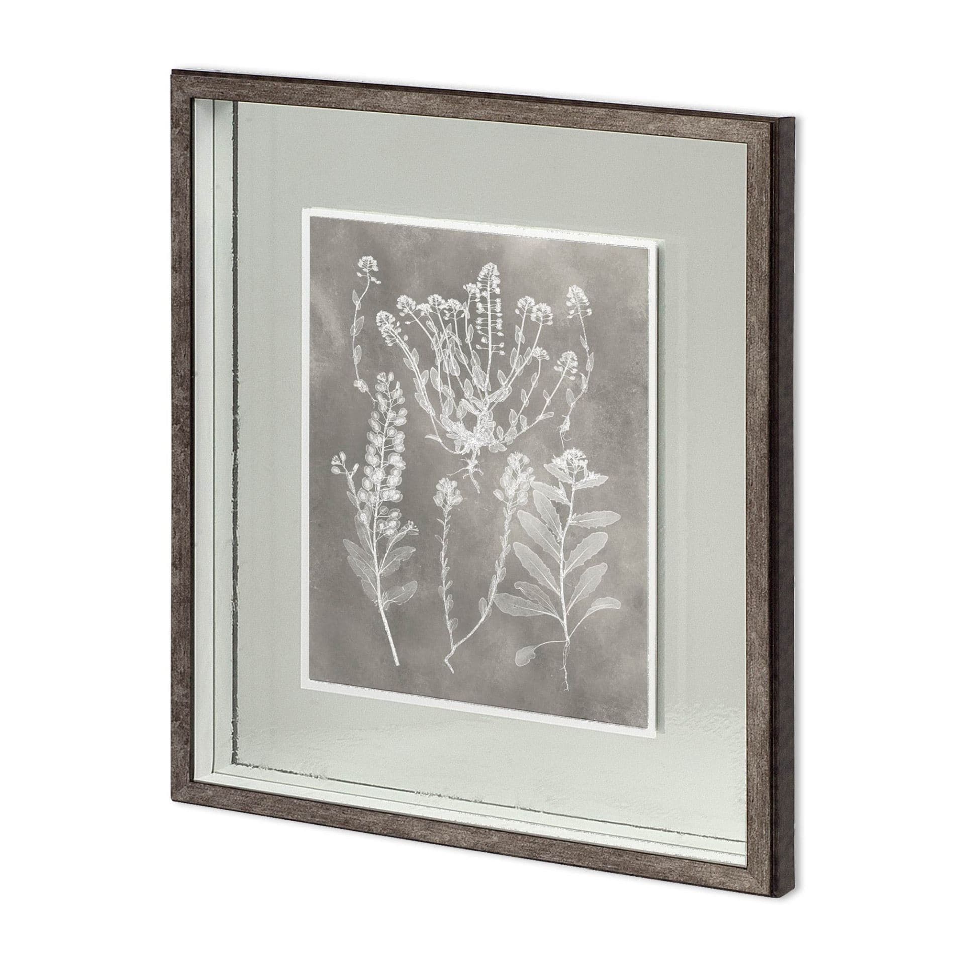 Custom Herbarium Study III by Vision Studio Hand Embellished Framed Art Print Matted under Glass — product photograph