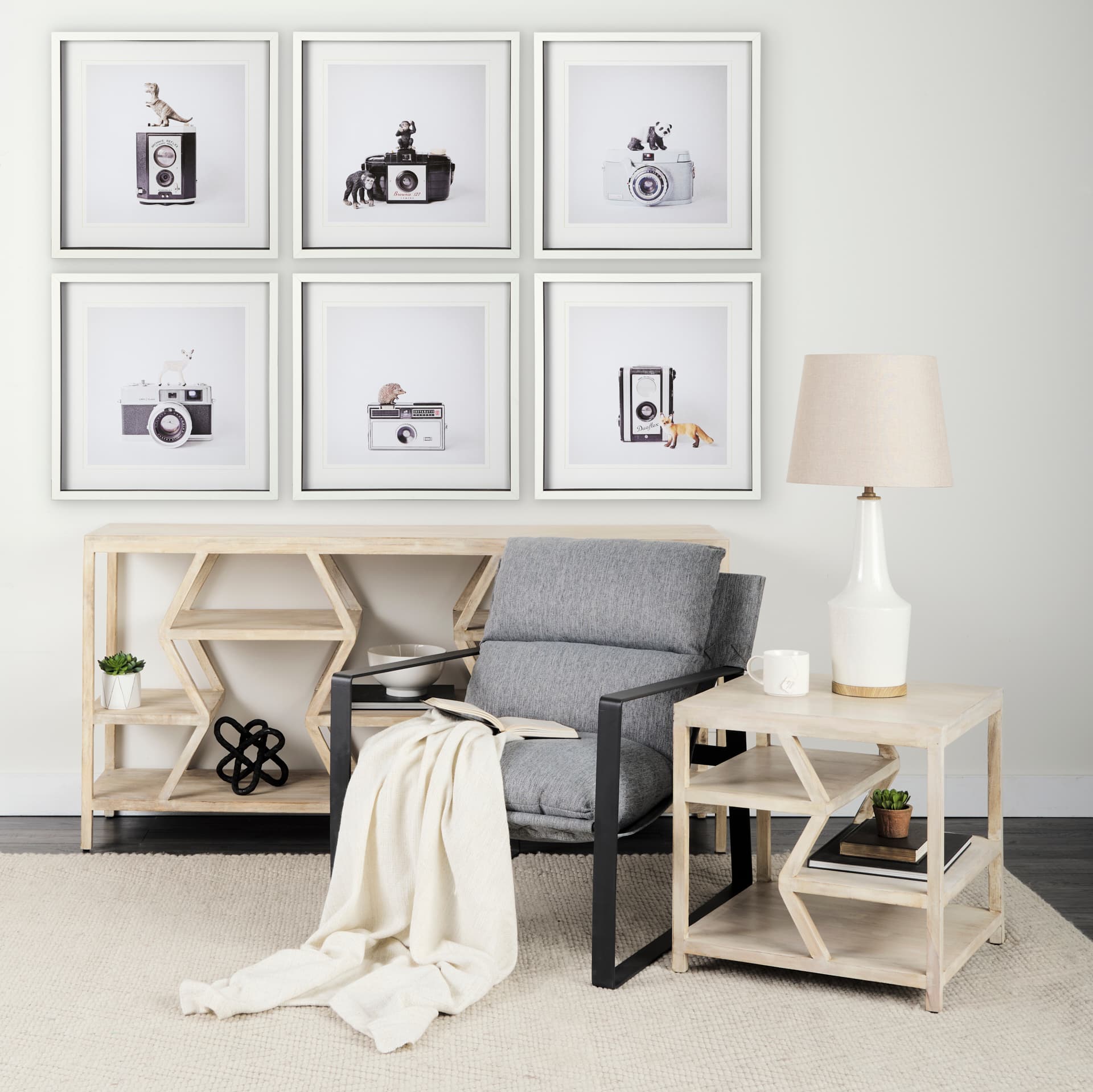T-rex & Vintage Camera by Susannah Tucker Photography a Framed Photo Art Print Matted under Glass — in a styled room