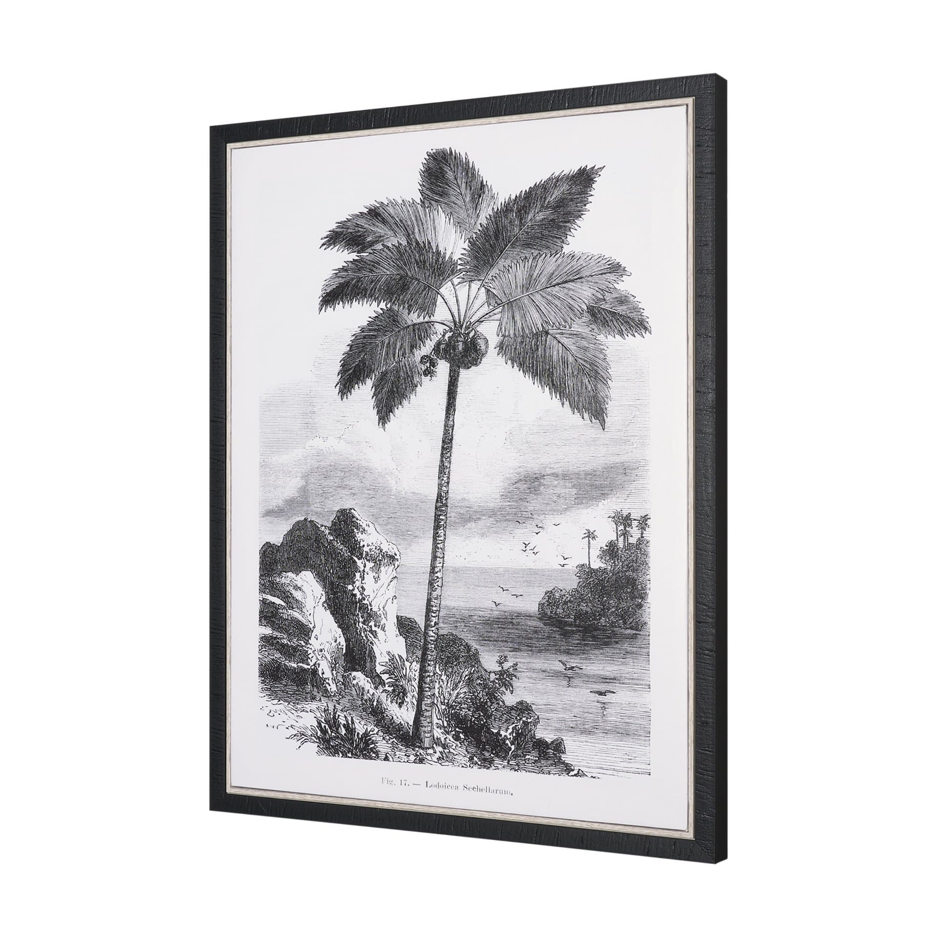 Vintage Palm Tree Drawing I by Les Palmiers Histoire Embellished Textured Framed Canvas — product photograph
