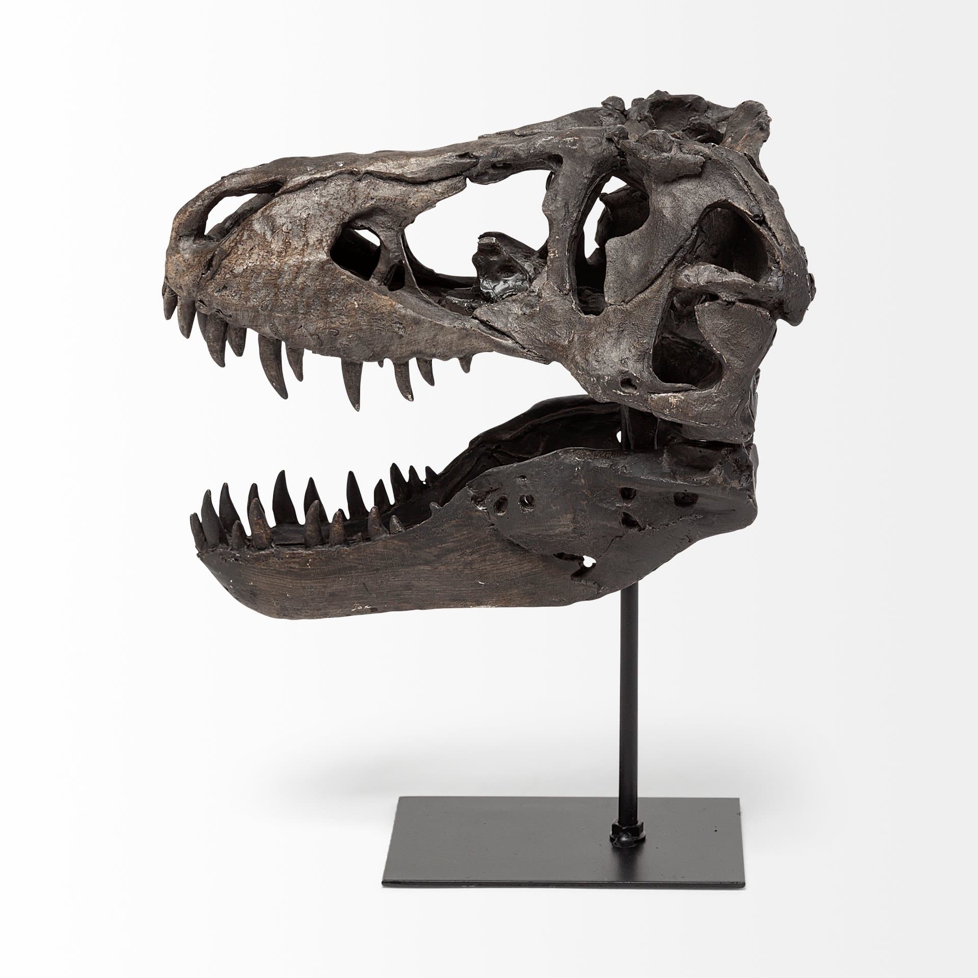 Jurassic 6L x 10W Brown Resin Tyrannosaurus Skull Replica — product photograph