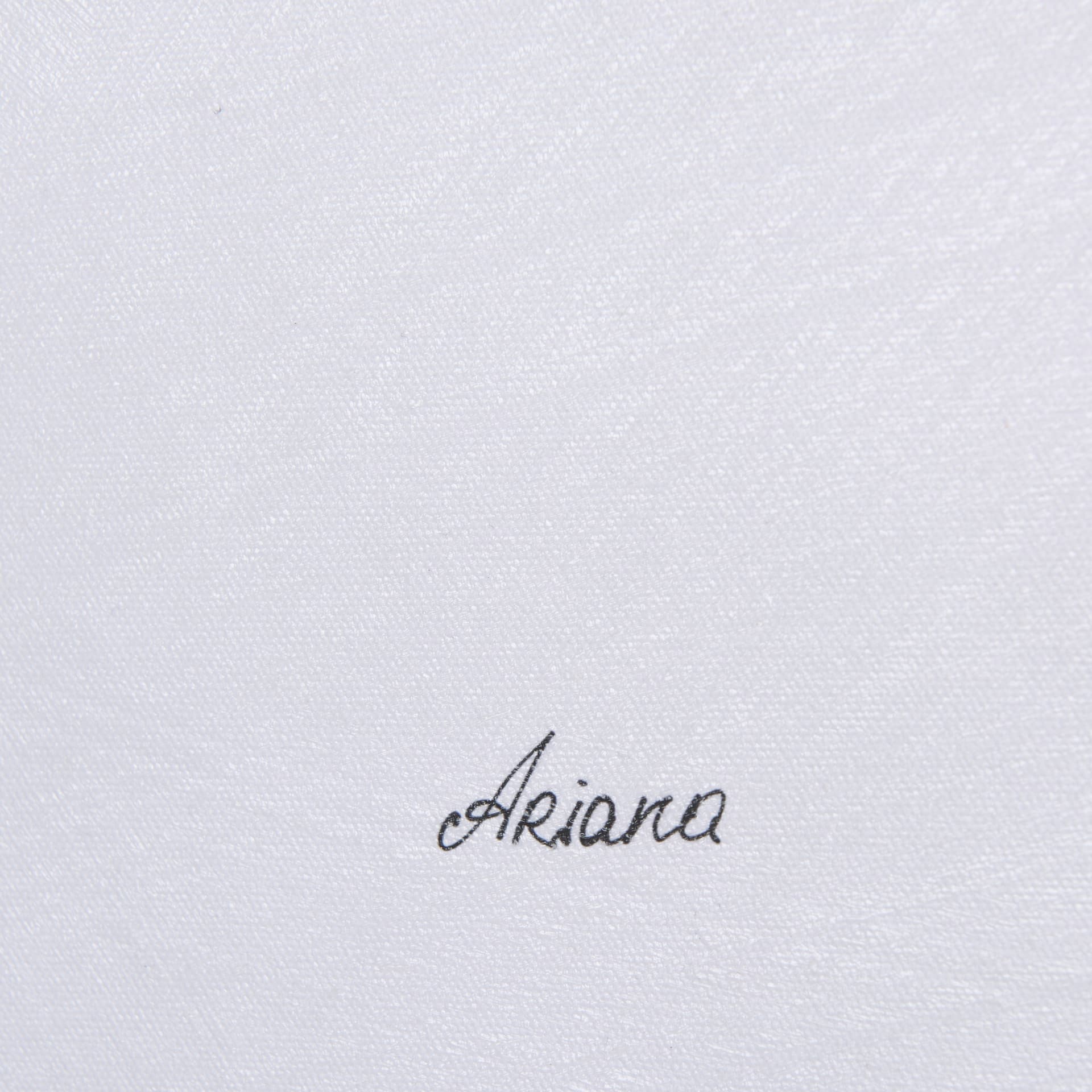 Plum Branch II by Mercana Studio a Hand Embellished Textured Canvas — product photograph