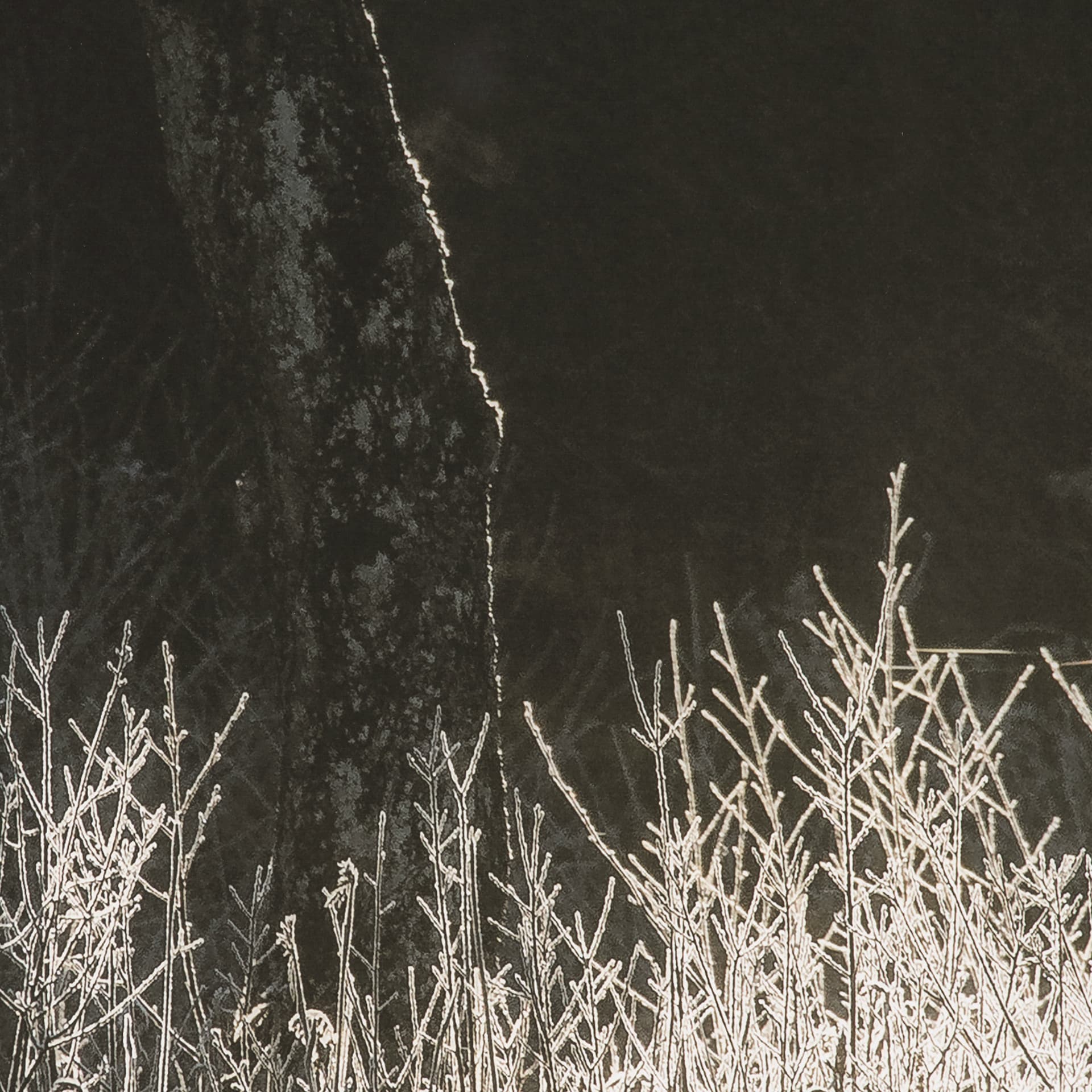Tranquil Symmetry II by Mikael Svensson a Framed Photo Art Print Matted under Glass — product photograph