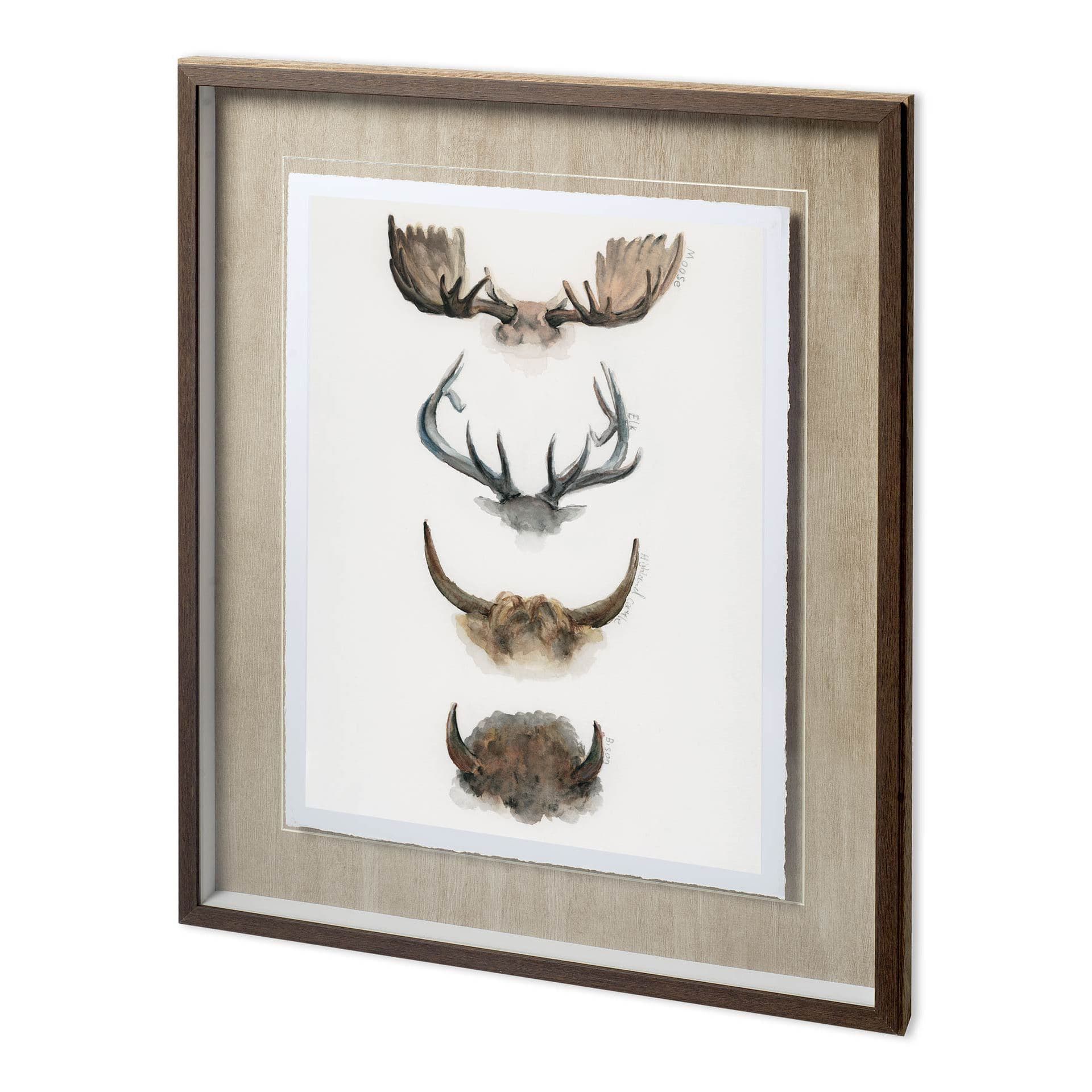Horn & Tail Study II by Mercana Studio Hand Embelished Textured Framed Art Print Matted under Glass — product photograph