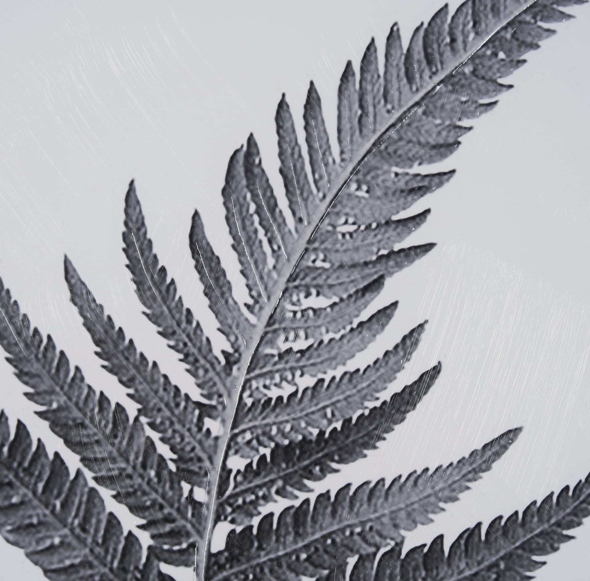 Truth by Debra Van Swearingen a Hand Embellished Framed Photo Art Print Matted under Glass — product photograph