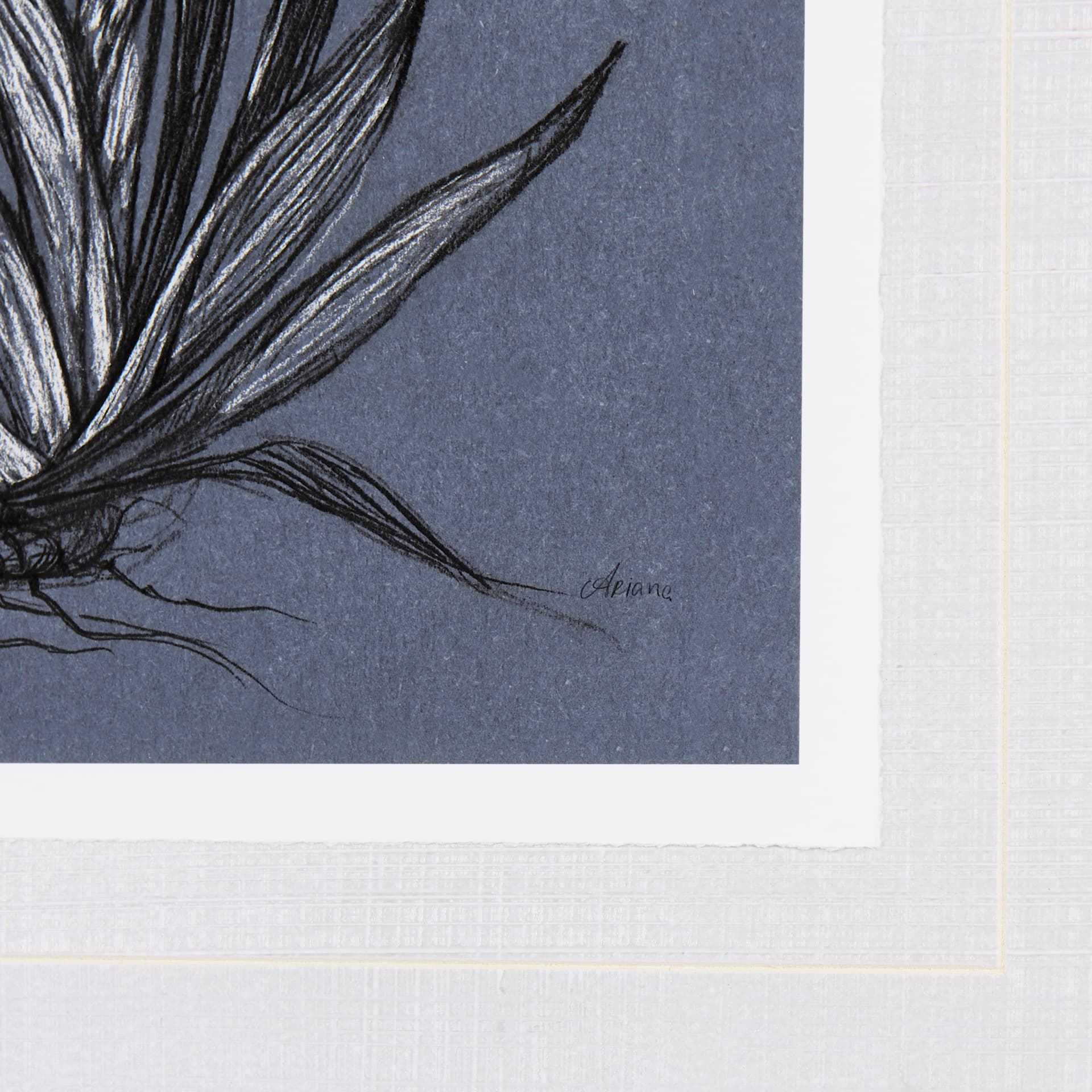 Botanical sketches IV (Blue) by Mercana Studio Hand Embellished Framed Art Print Matted under Glass — product photograph