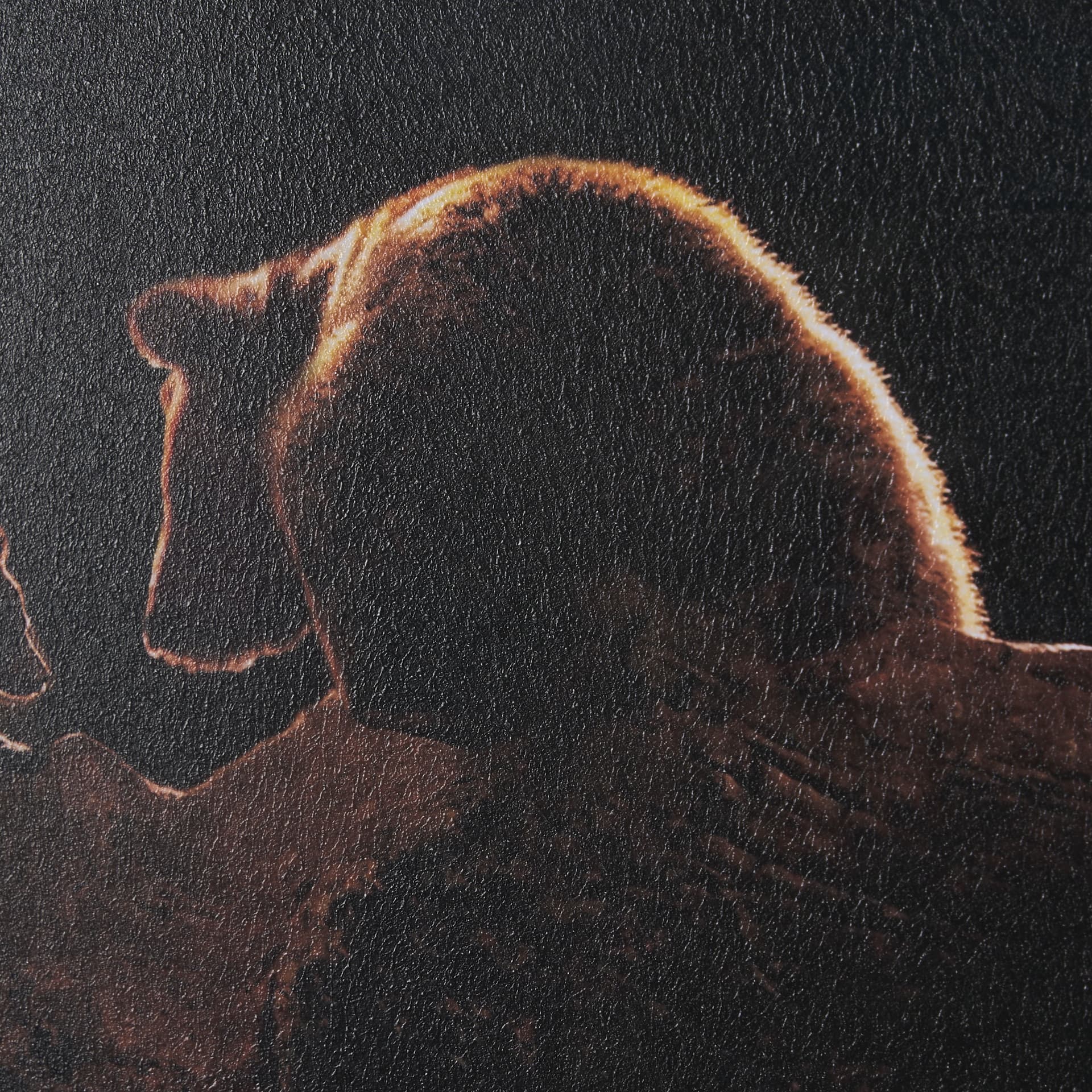 Triplets by Xavier Ortega a Framed Photo Art Print Matted under Glass — product photograph