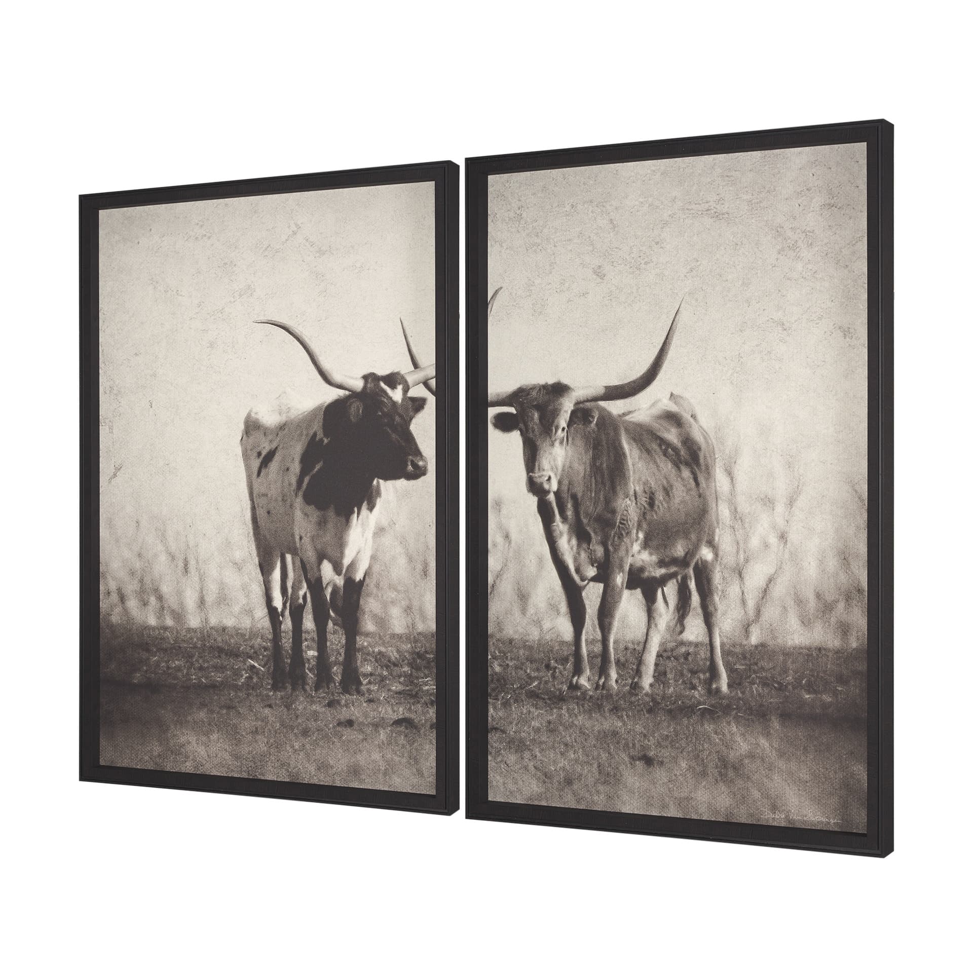 Texas Longhorns (Set of 2) by Debra Van Swearingen a Hand Embellished Framed Art Photograph Print — product photograph