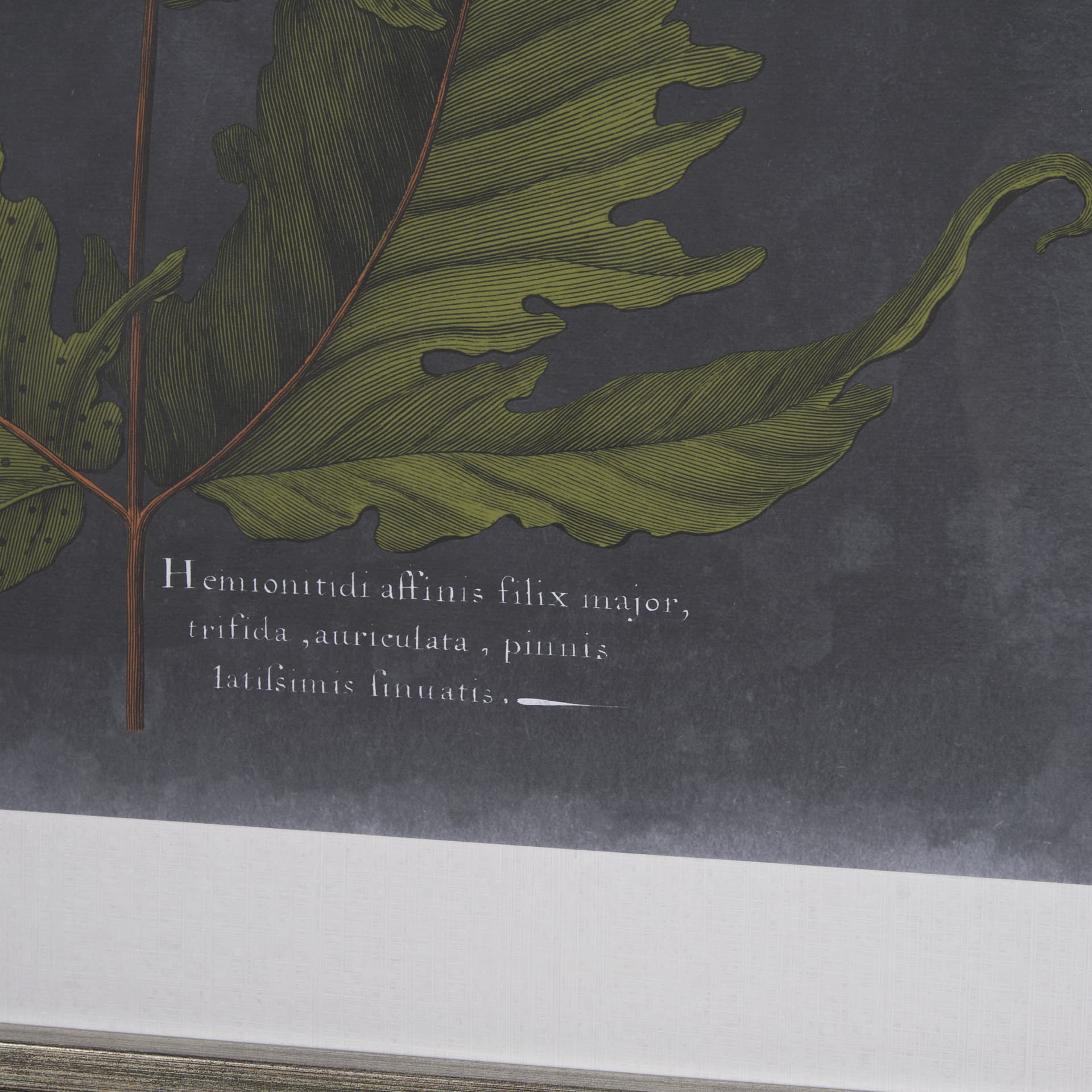 Foliage Dramatique I by Vision Studio Hand Embellished Textured Framed Art Print Matted under Glass — product photograph